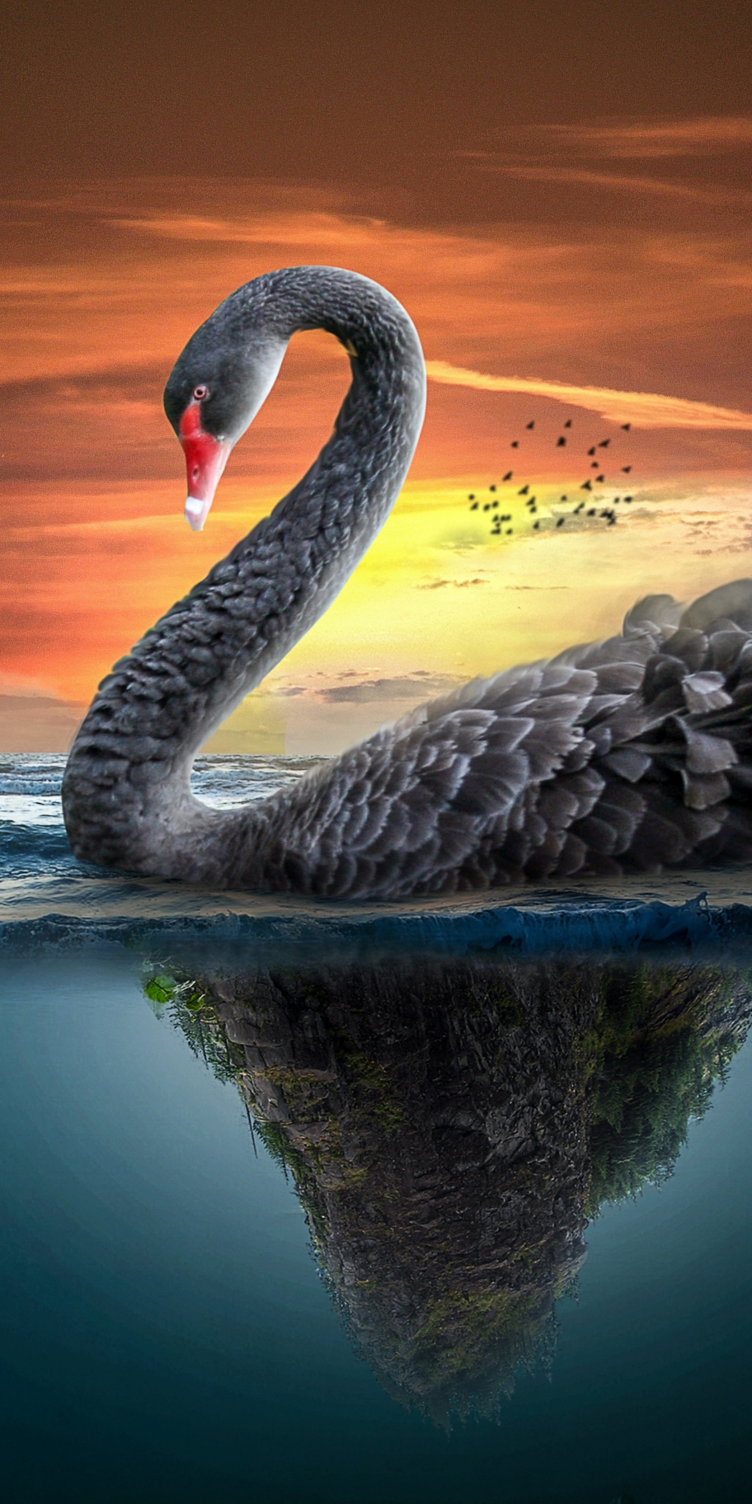 Big Black swan, fantasy, 1080x2160 wallpaper