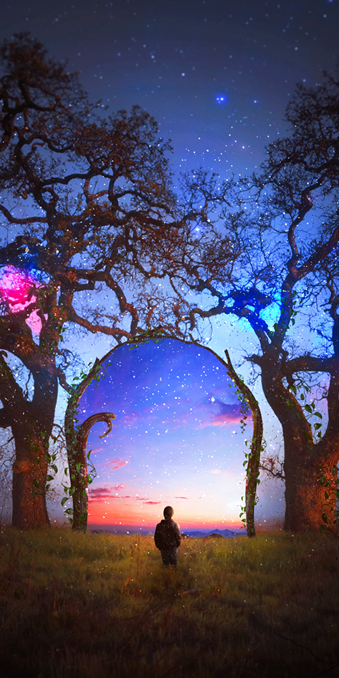 Colorful, silhouette, arch, starry sky, landscape, tree, 1080x2160 wallpaper