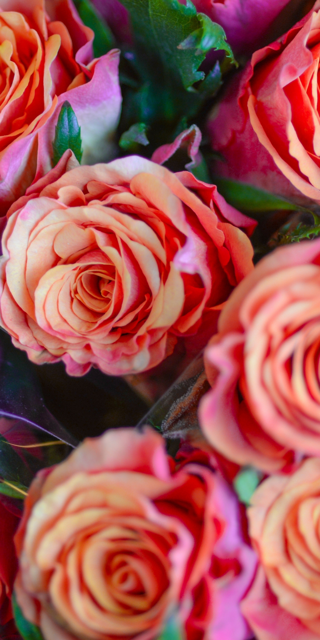 Bouquet, red roses, flowers, gift, 1080x2160 wallpaper