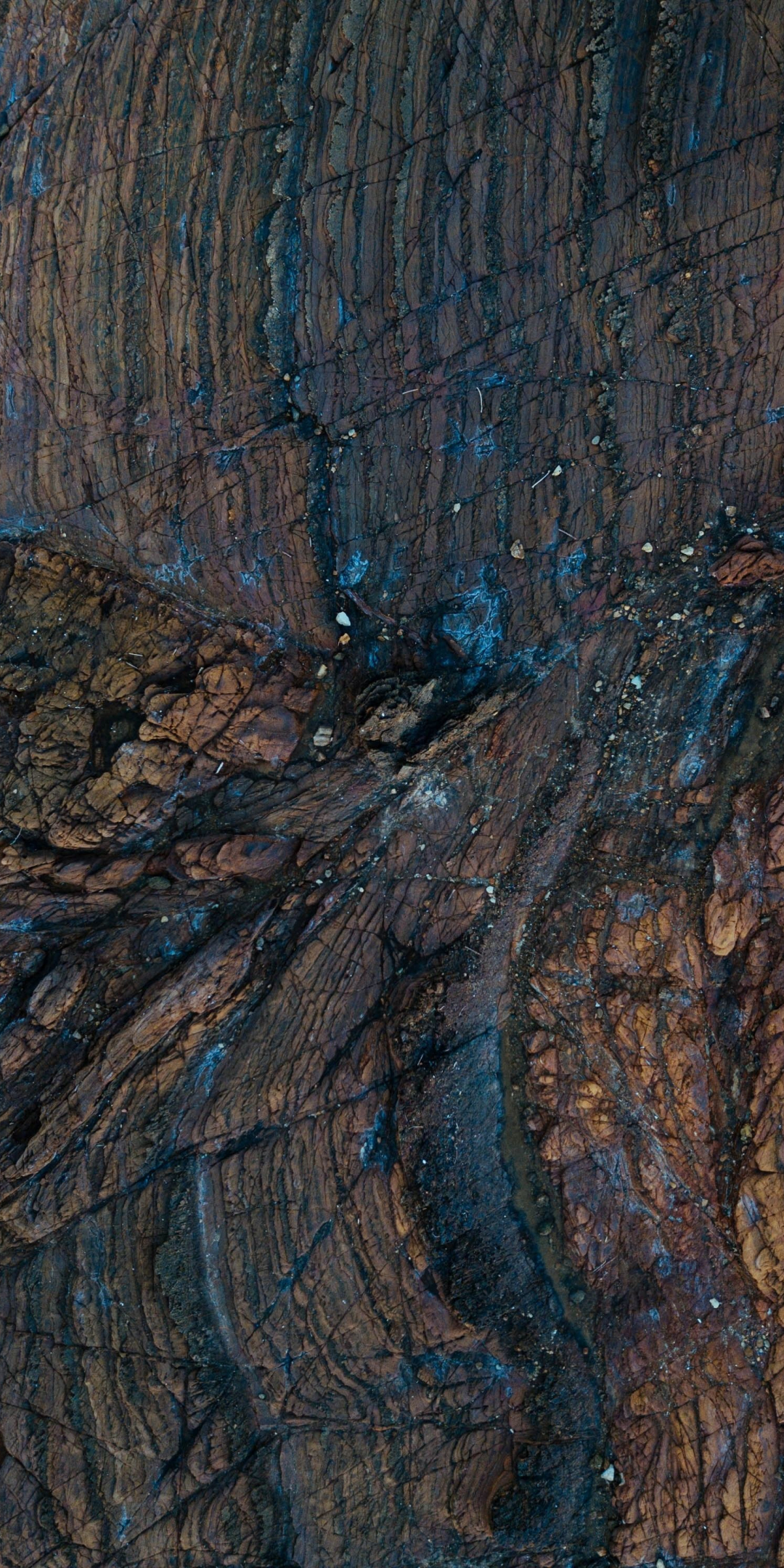 Wood, surface, texture, 1080x2160 wallpaper