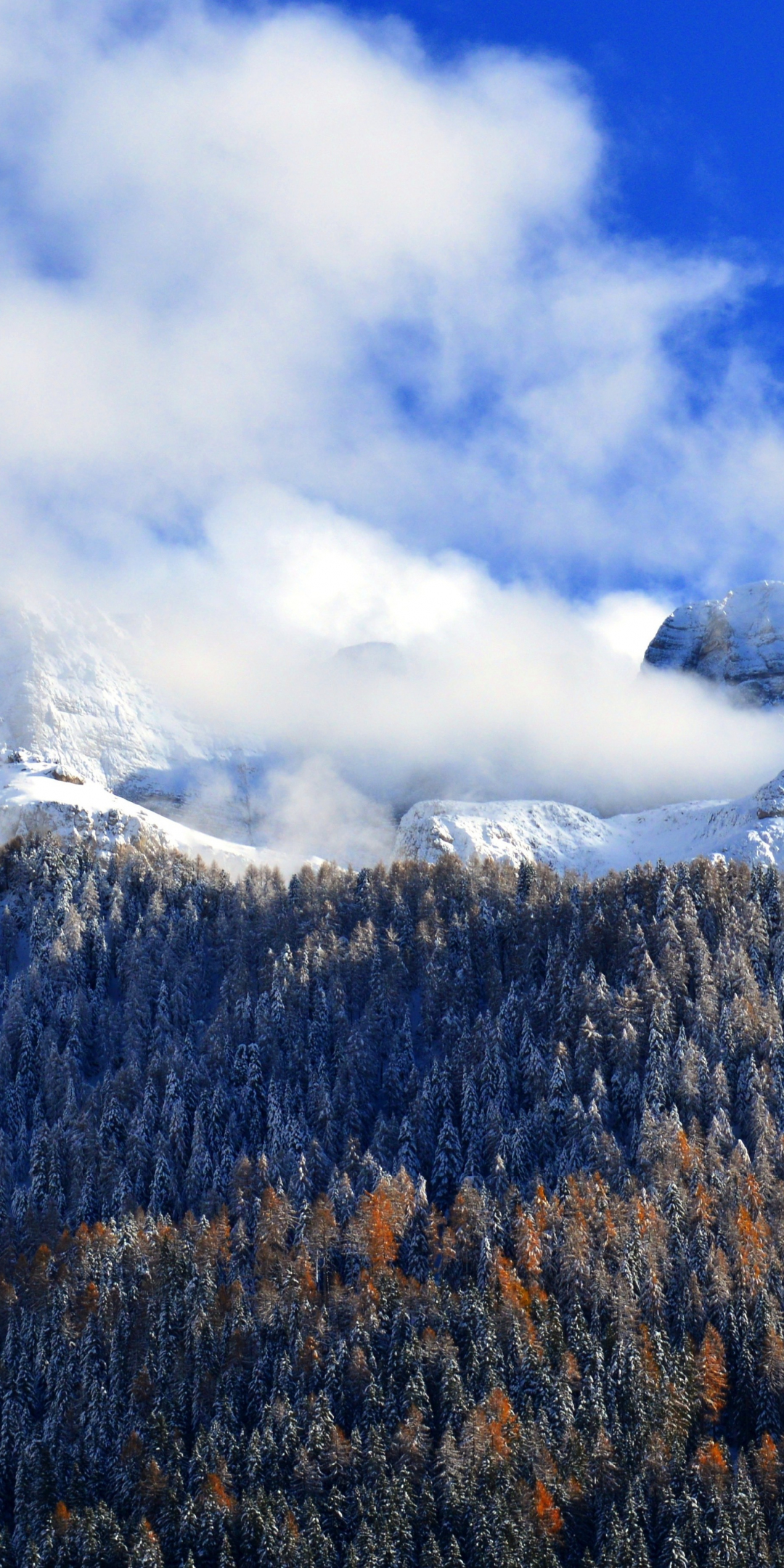 Mountains, clouds, fog, forest, tree, winter, 1080x2160 wallpaper