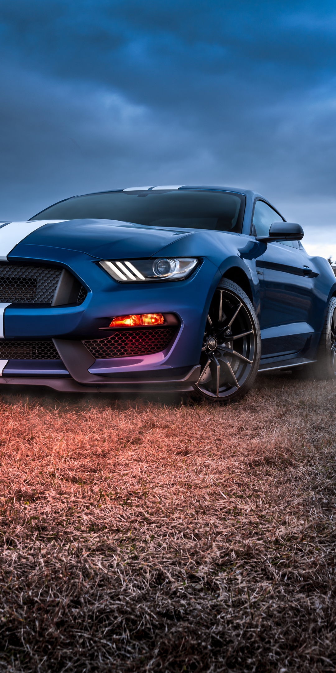 Ford Mustang, Shelby GT500, muscle car, 1080x2160 wallpaper