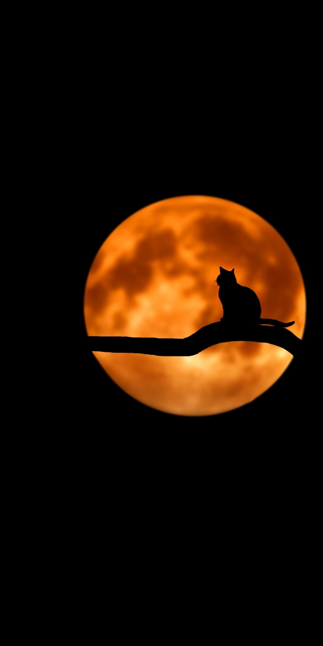 Moon, cat, minimal, silhouette, art, 1080x2160 wallpaper