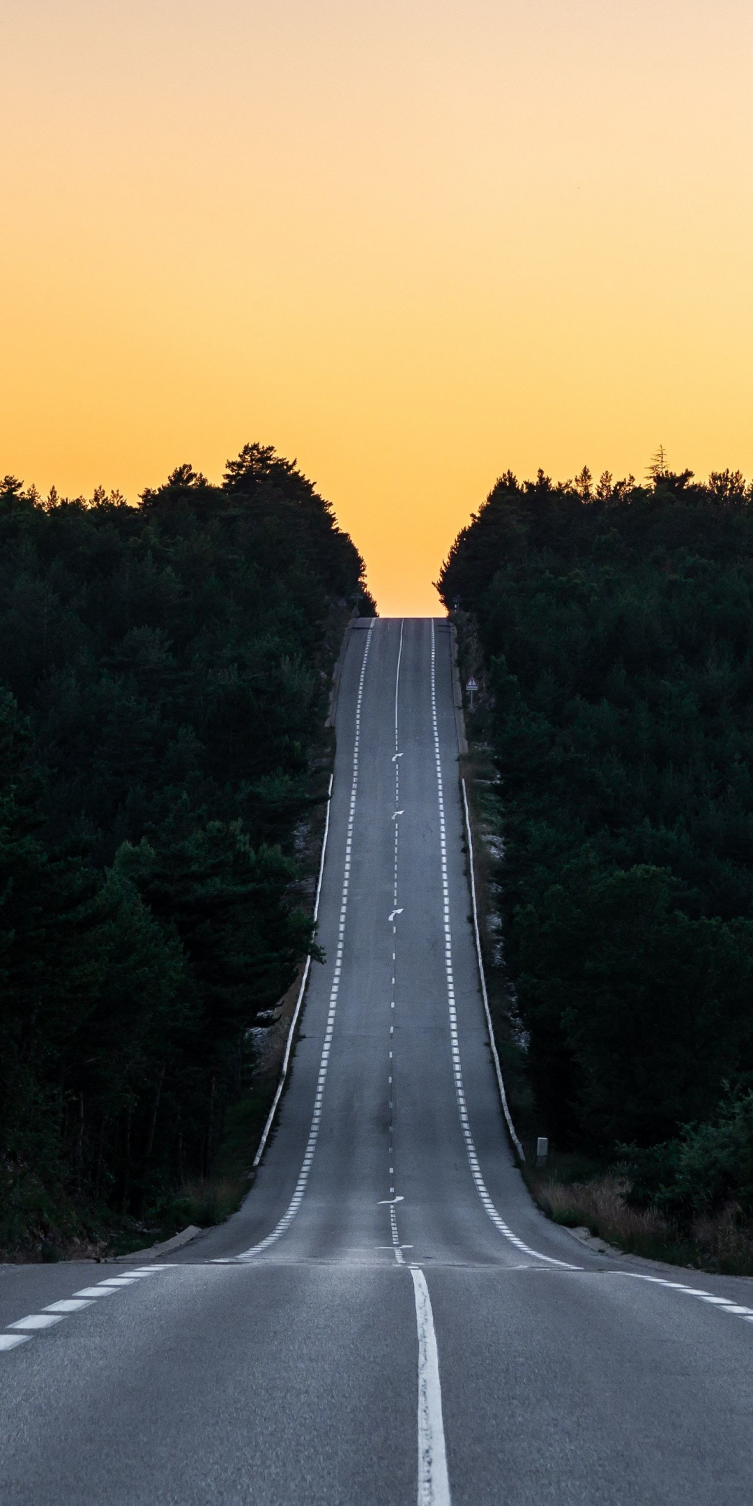 Road, journey, sunset, France, 1080x2160 wallpaper