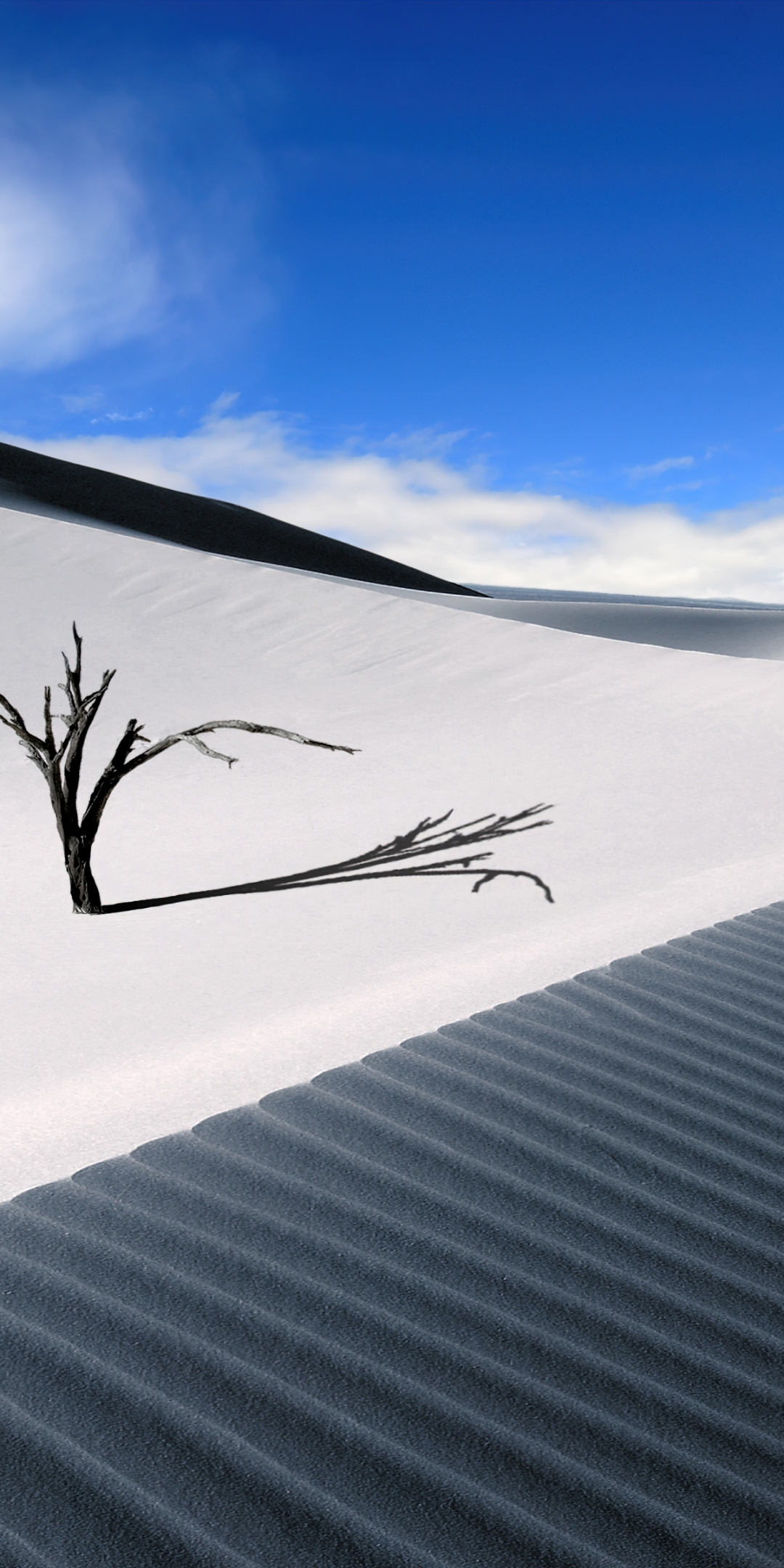 White sand dunes, landscape, lone desert, 1080x2160 wallpaper