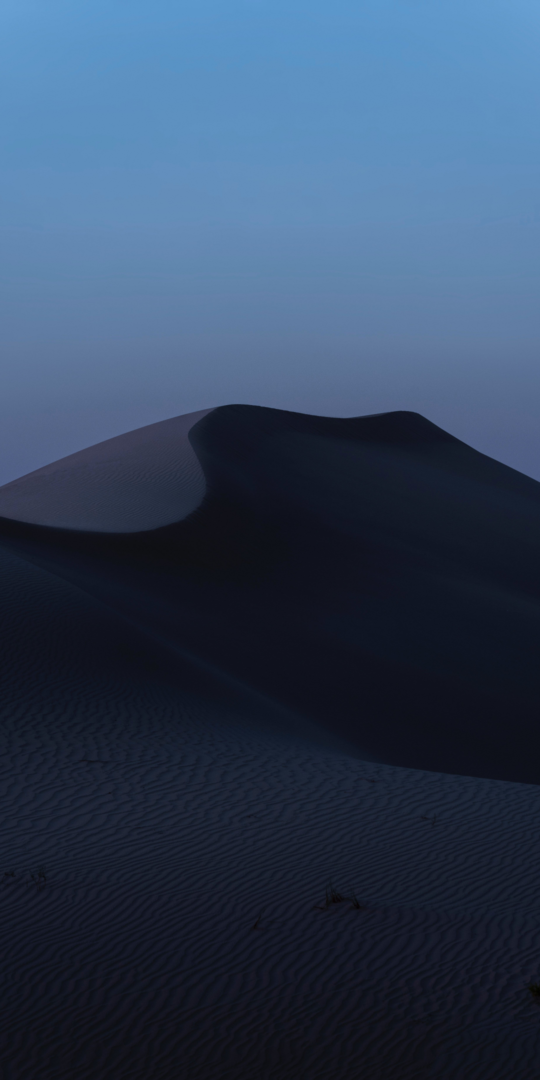 Desert, Night, UAE, 1080x2160 wallpaper