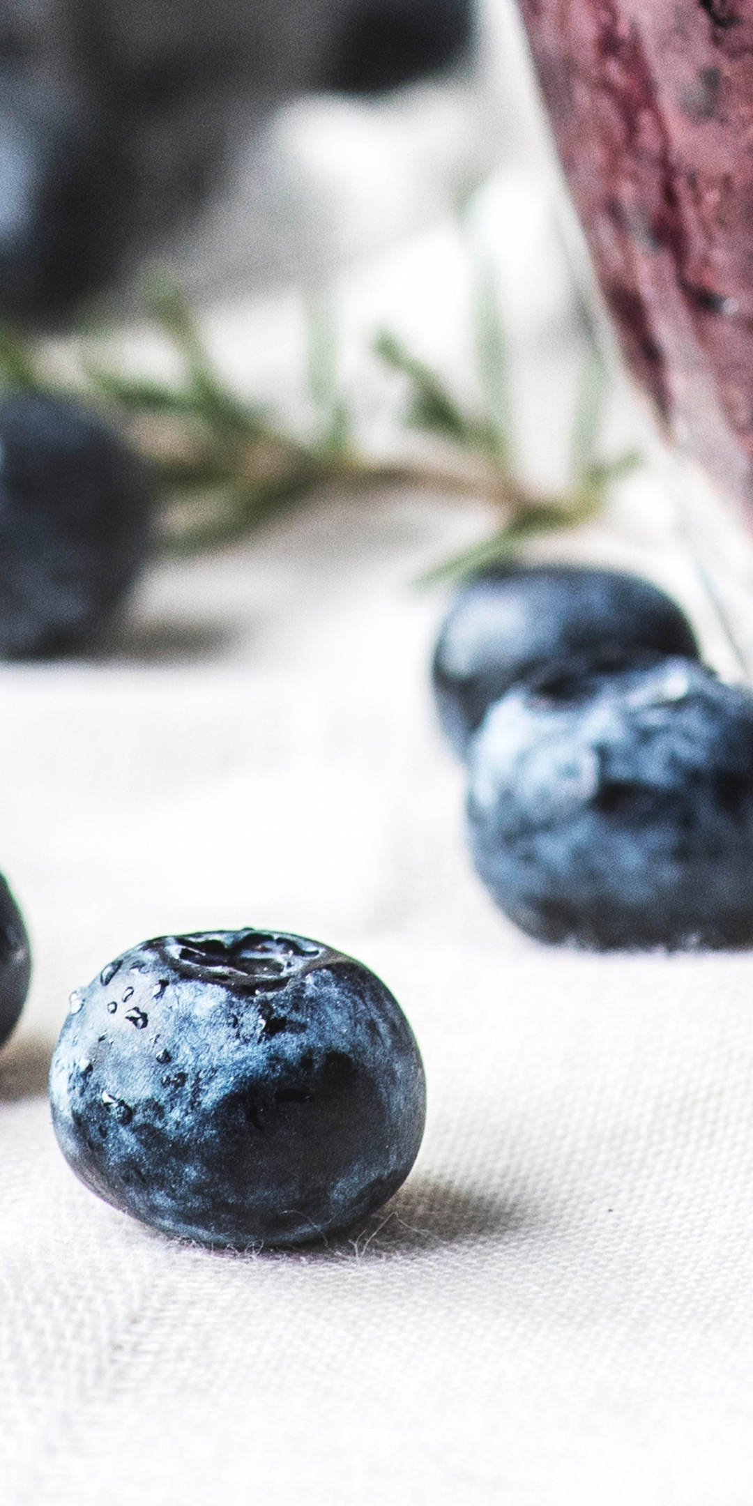 Fresh, fruits, antioxidant, blueberry, 1080x2160 wallpaper