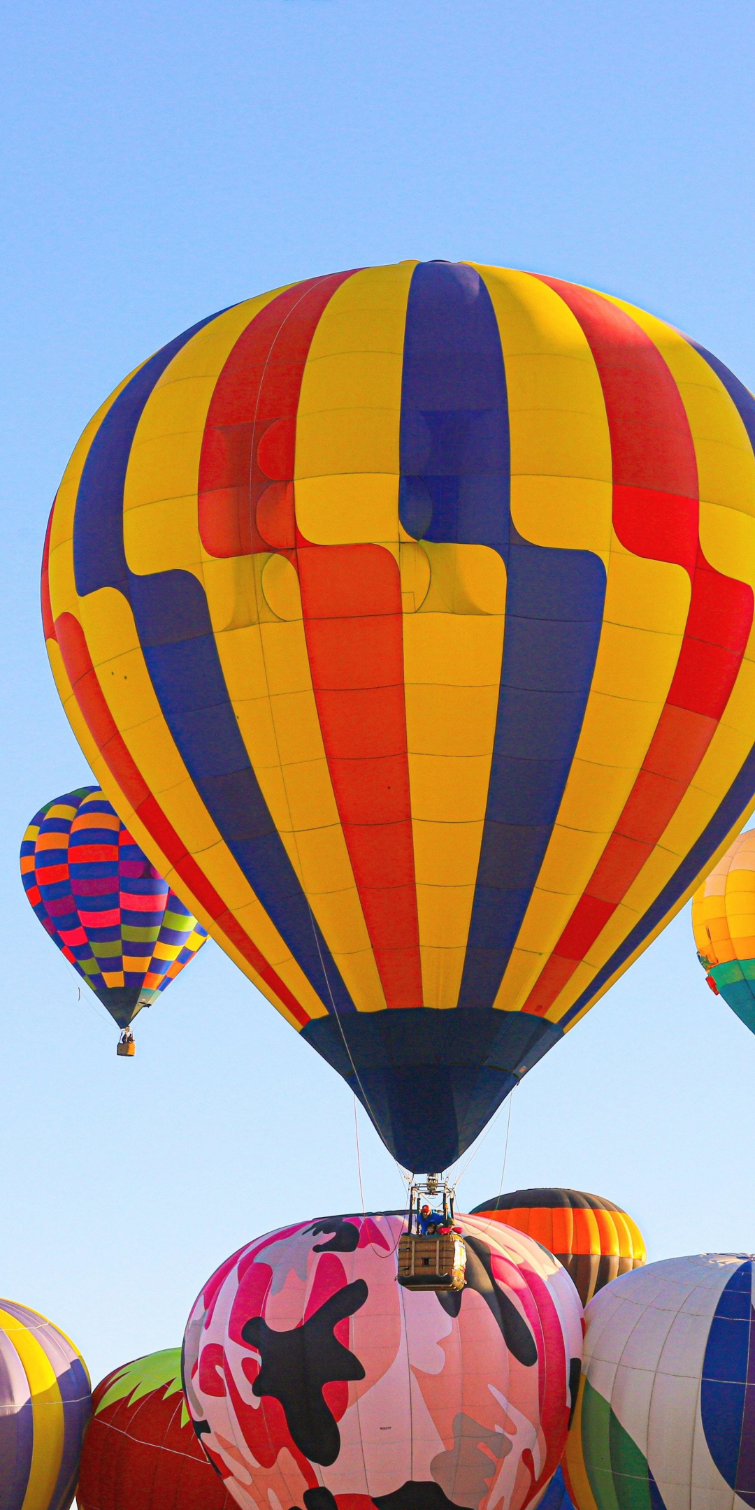 Hot air balloons, colorful, festival, 1080x2160 wallpaper