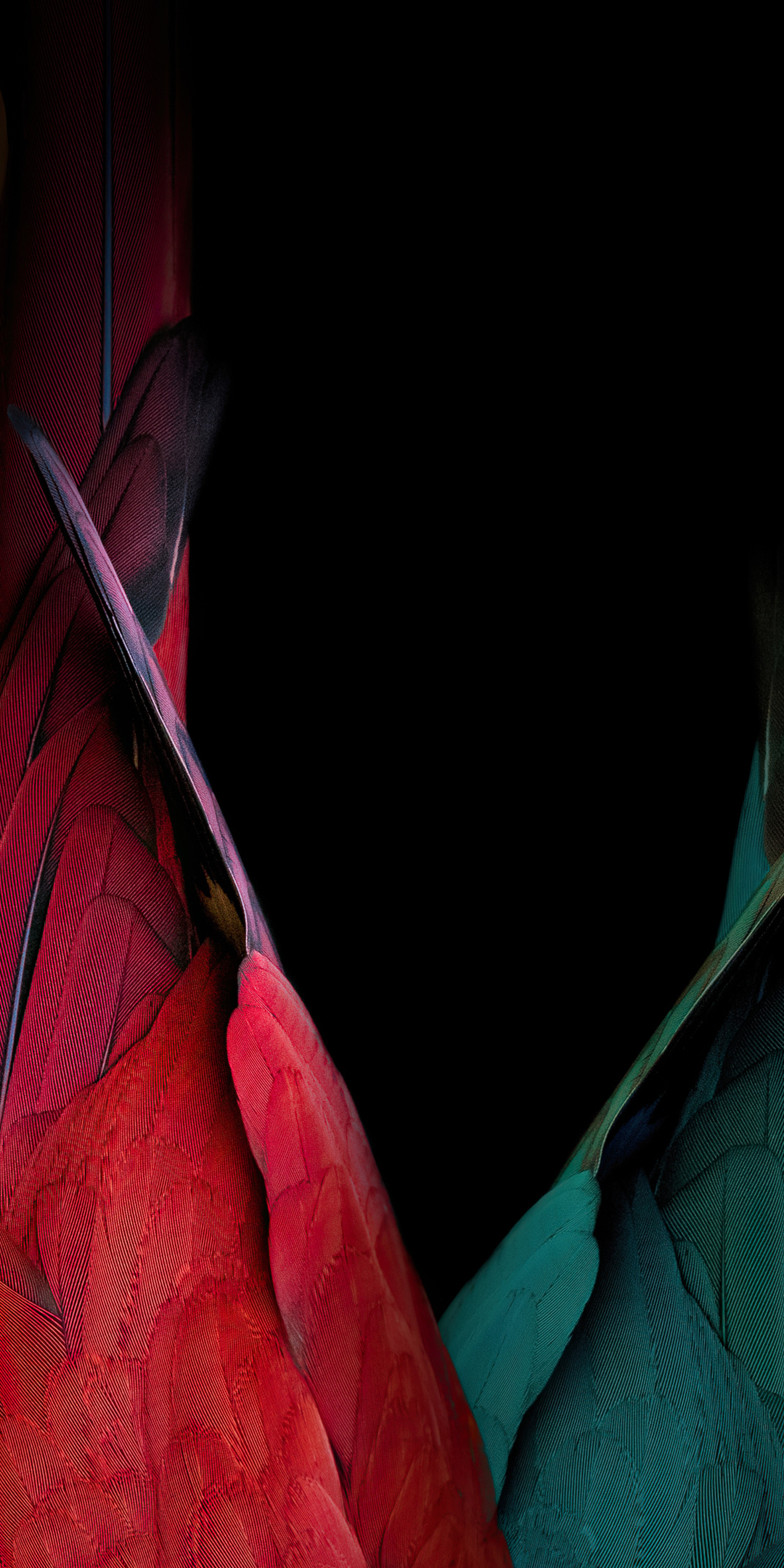 Birds tails, red and green birds, oled, 1080x2160 wallpaper