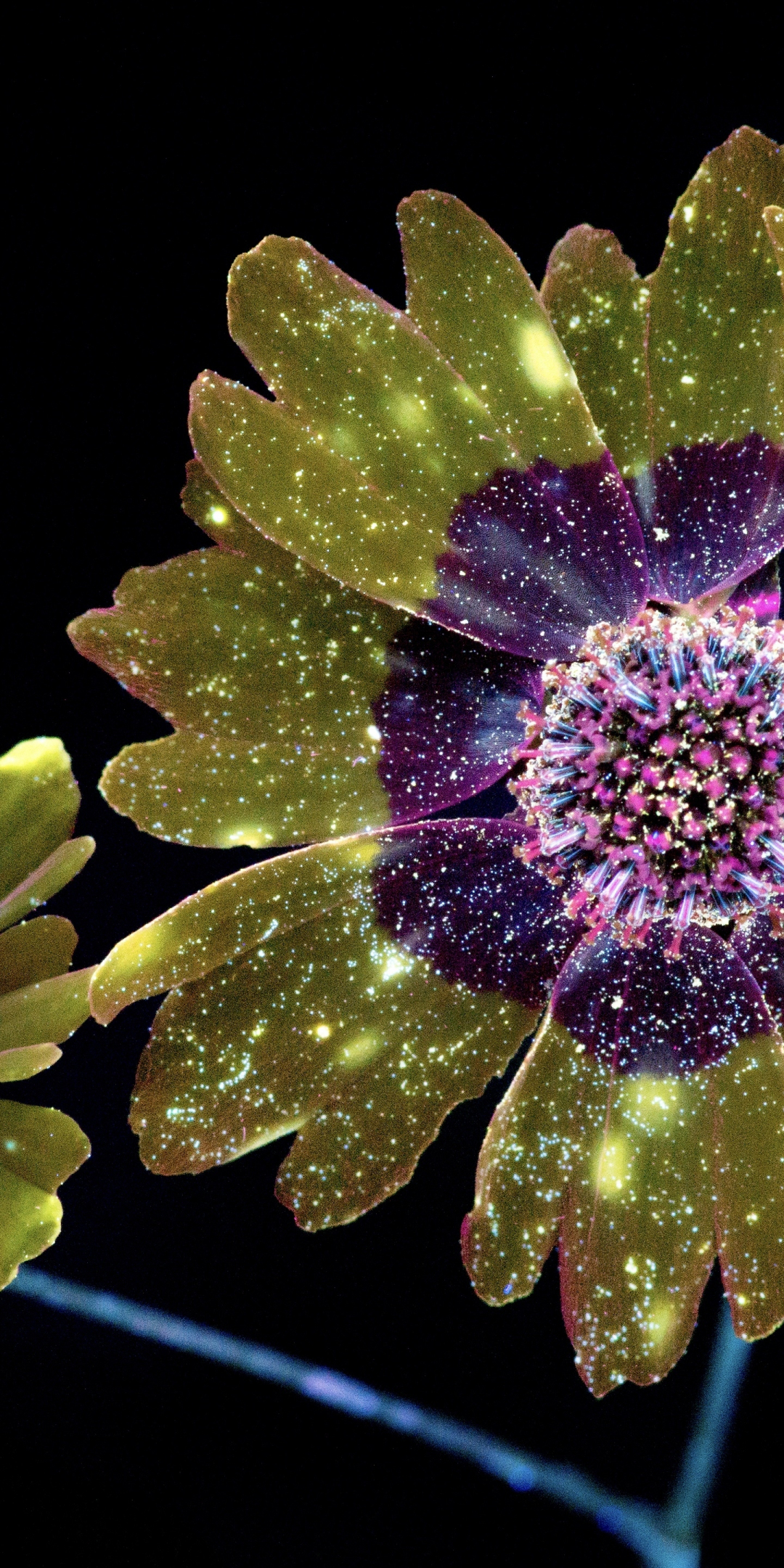 Digital art of flower, golden glitter and shine, 1080x2160 wallpaper