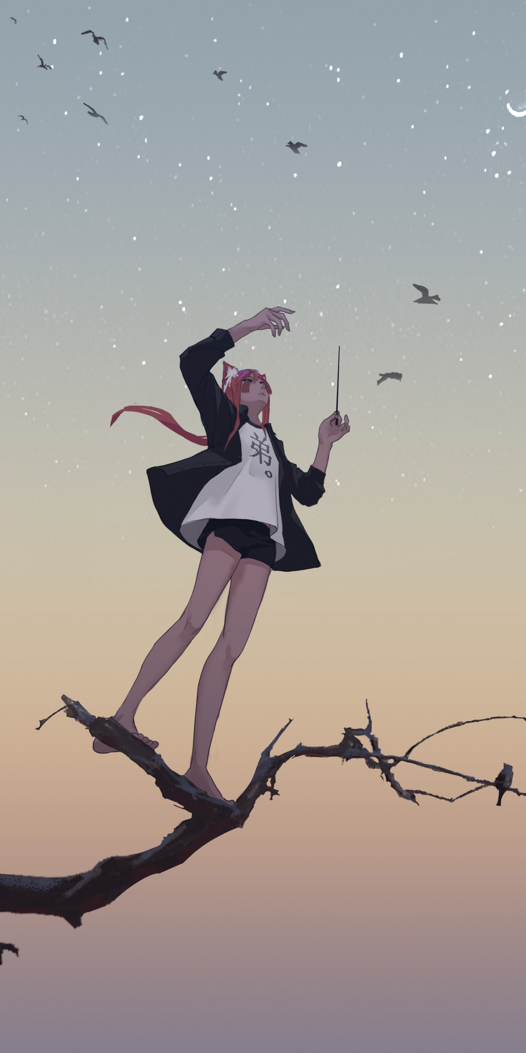 Relaxed, anime girl, birds, sunset, sky, art, 1080x2160 wallpaper