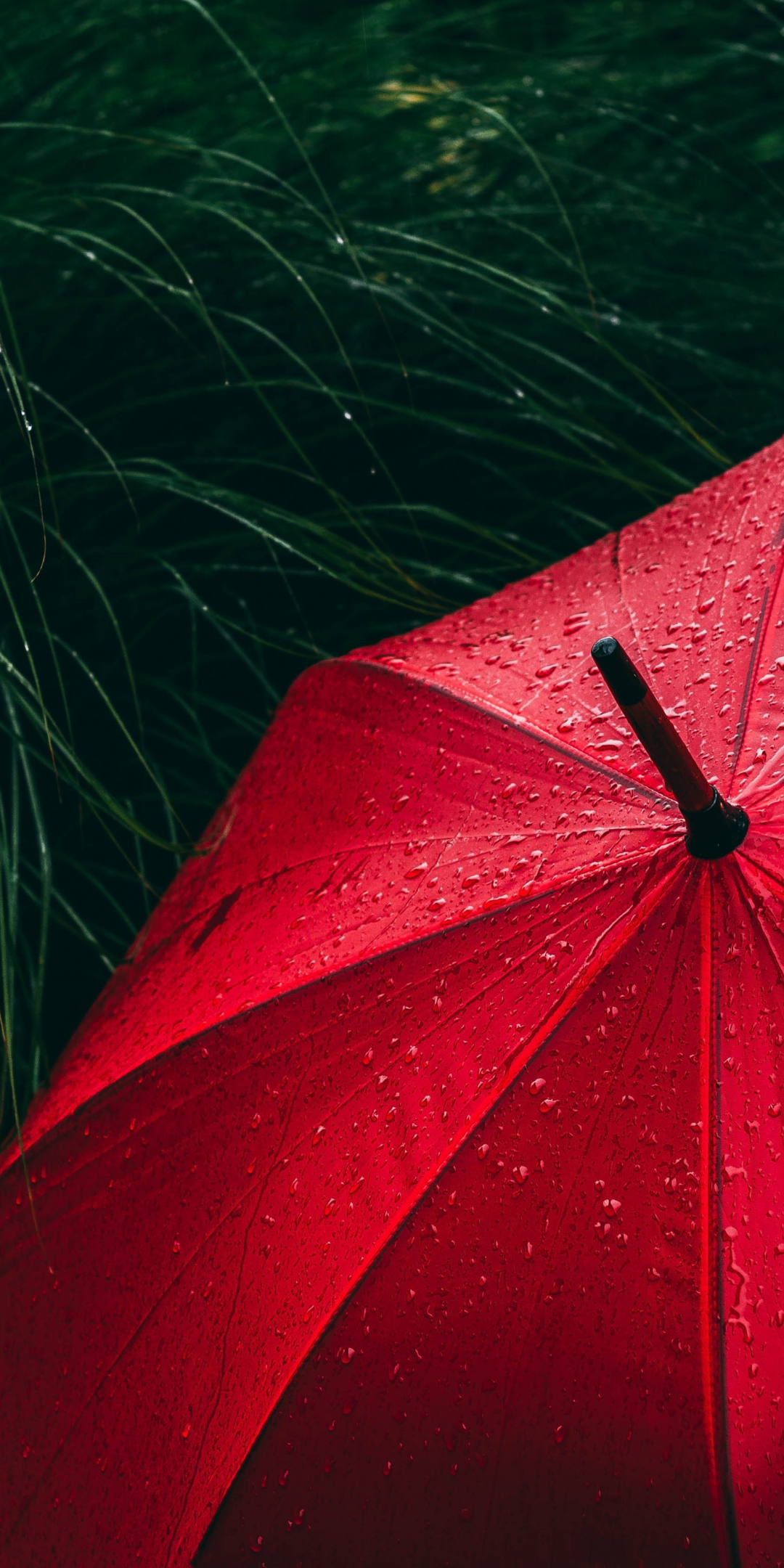 Umbrella red, rain droplets, rain, 1080x2160 wallpaper