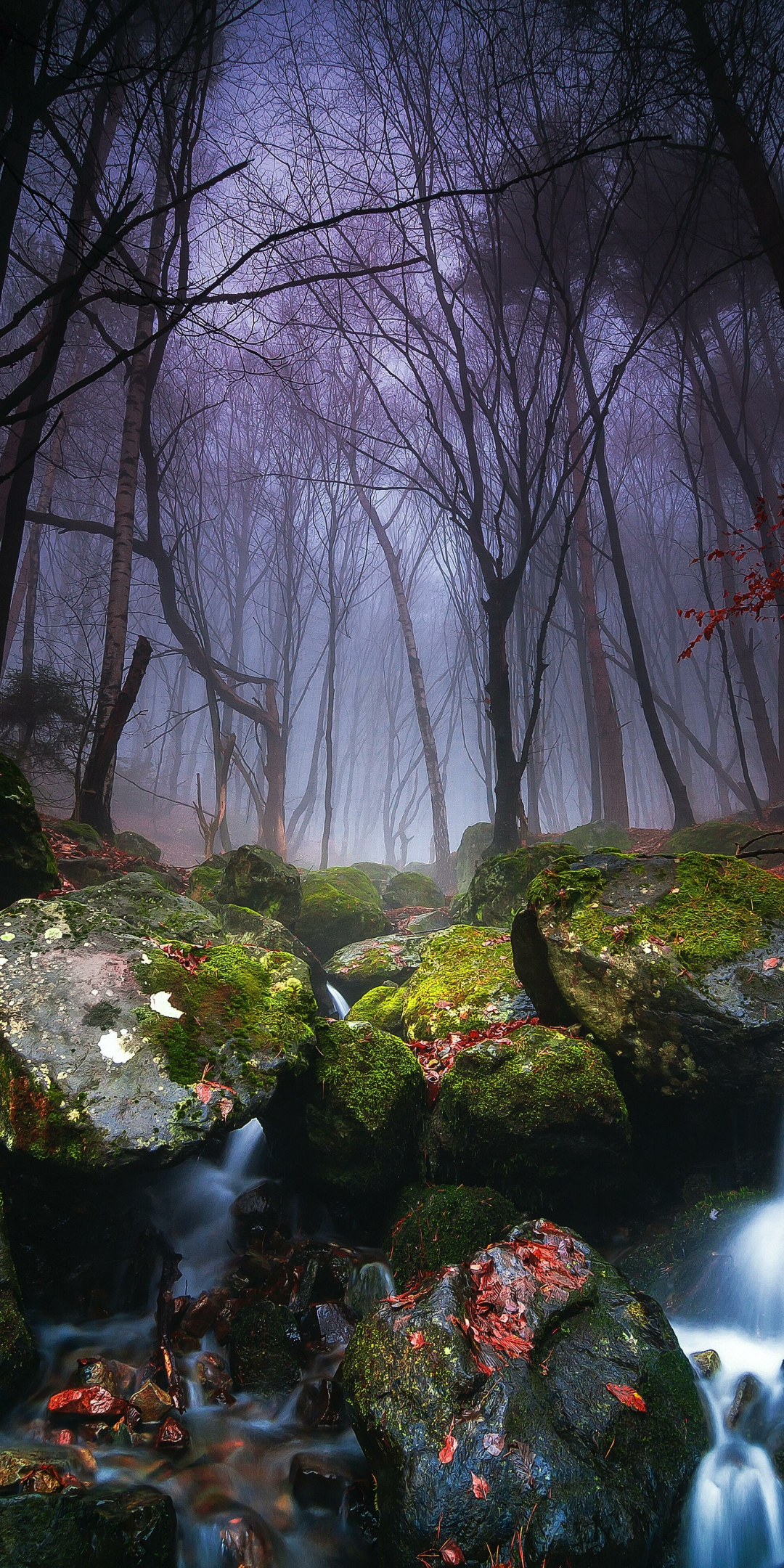 Bulgaria Forest, nature, adorable rocks, waterfall, 1080x2160 wallpaper