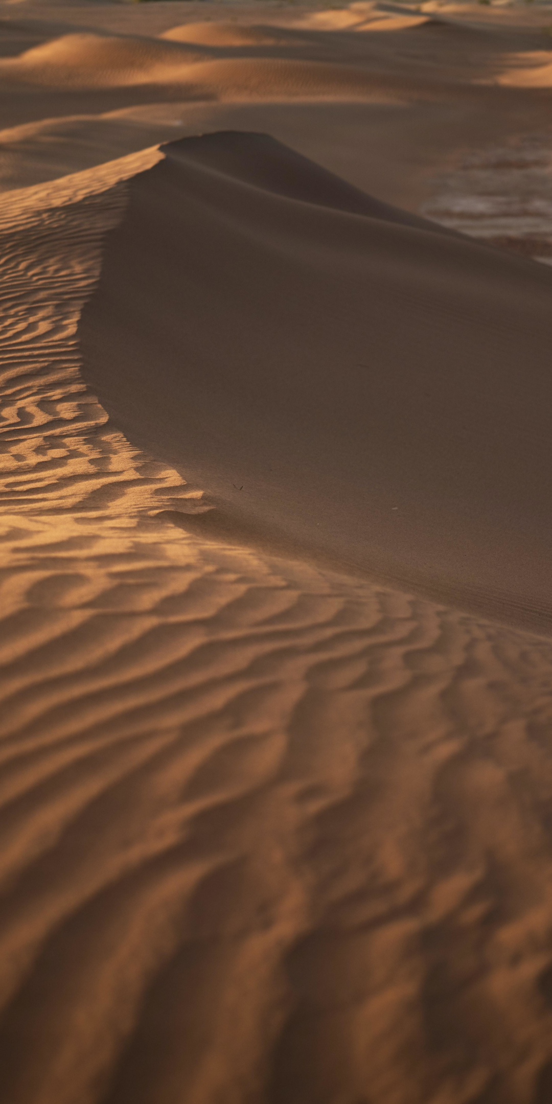 Dunes of desert, sand, 1080x2160 wallpaper