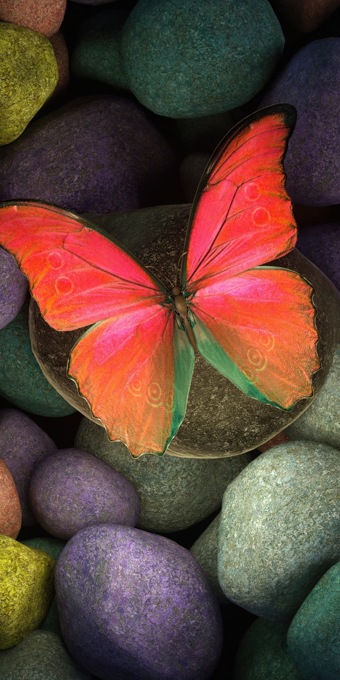 Butterfly on rocks, colorful rocks, art, 1080x2160 wallpaper