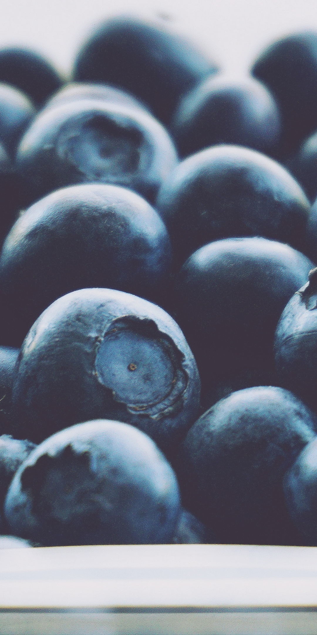 Close up, fruits, blueberry, 1080x2160 wallpaper