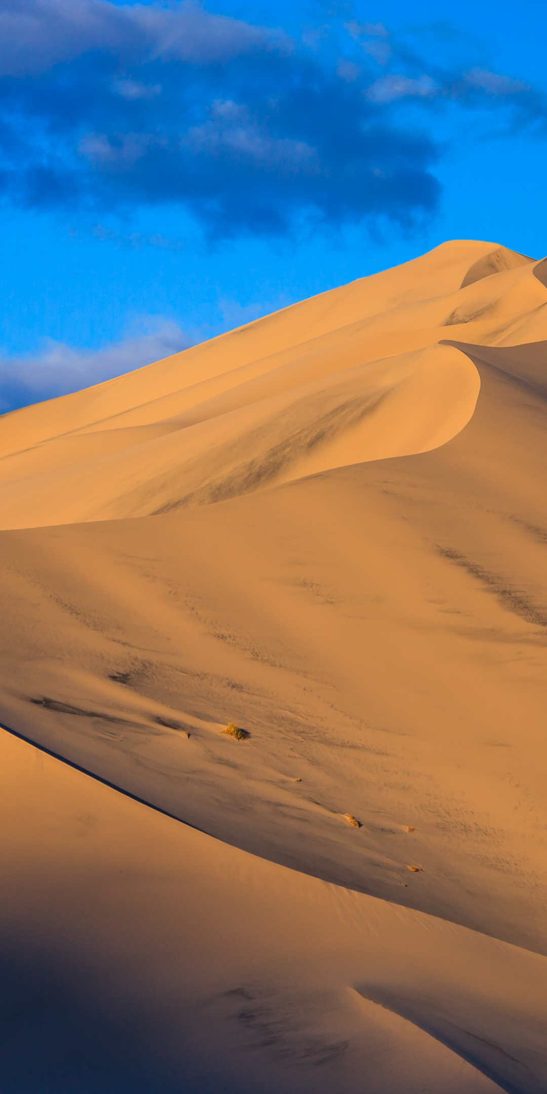 Landscape, sand, dunes, desert, 1080x2160 wallpaper
