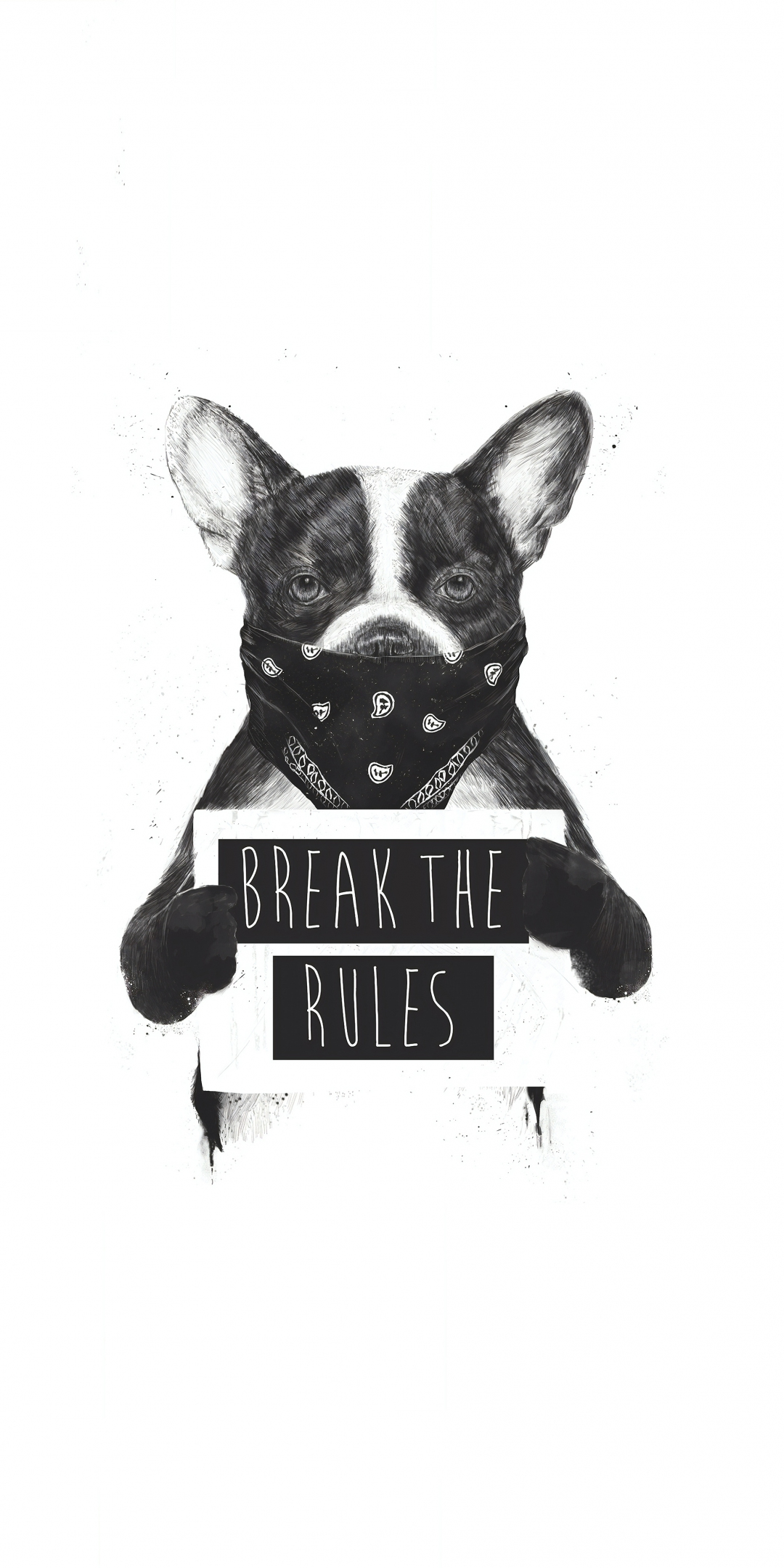 Artwork, bulldog, Rebel dog, bw, 1080x2160 wallpaper