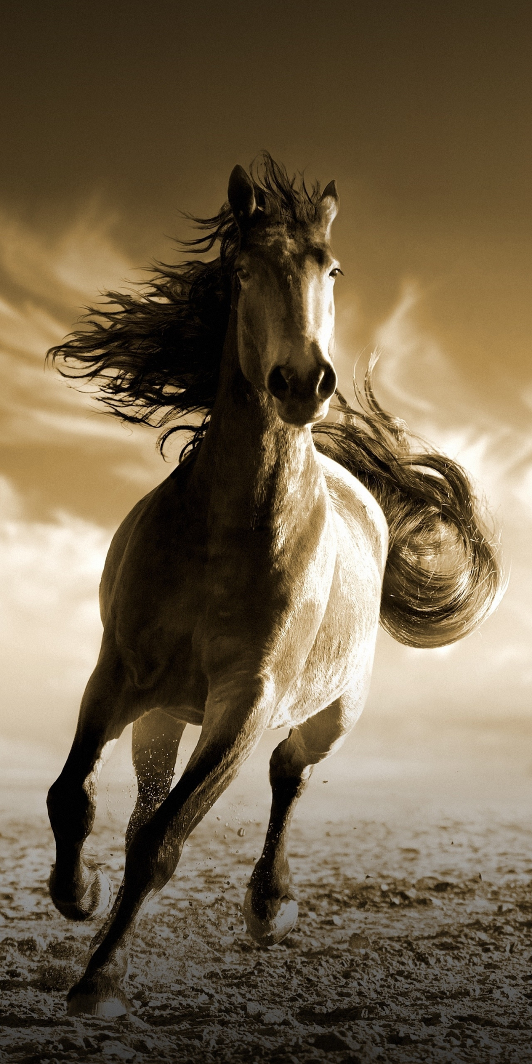 Running, horse, animal, 1080x2160 wallpaper
