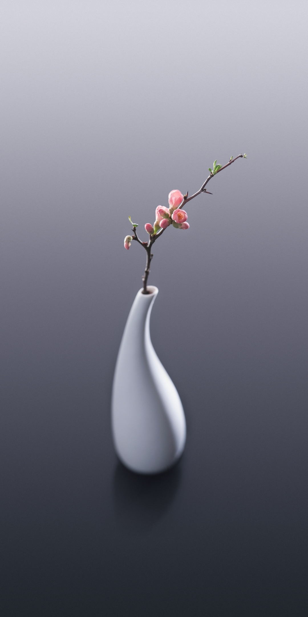 Flowers, vase, minimal, 1080x2160 wallpaper