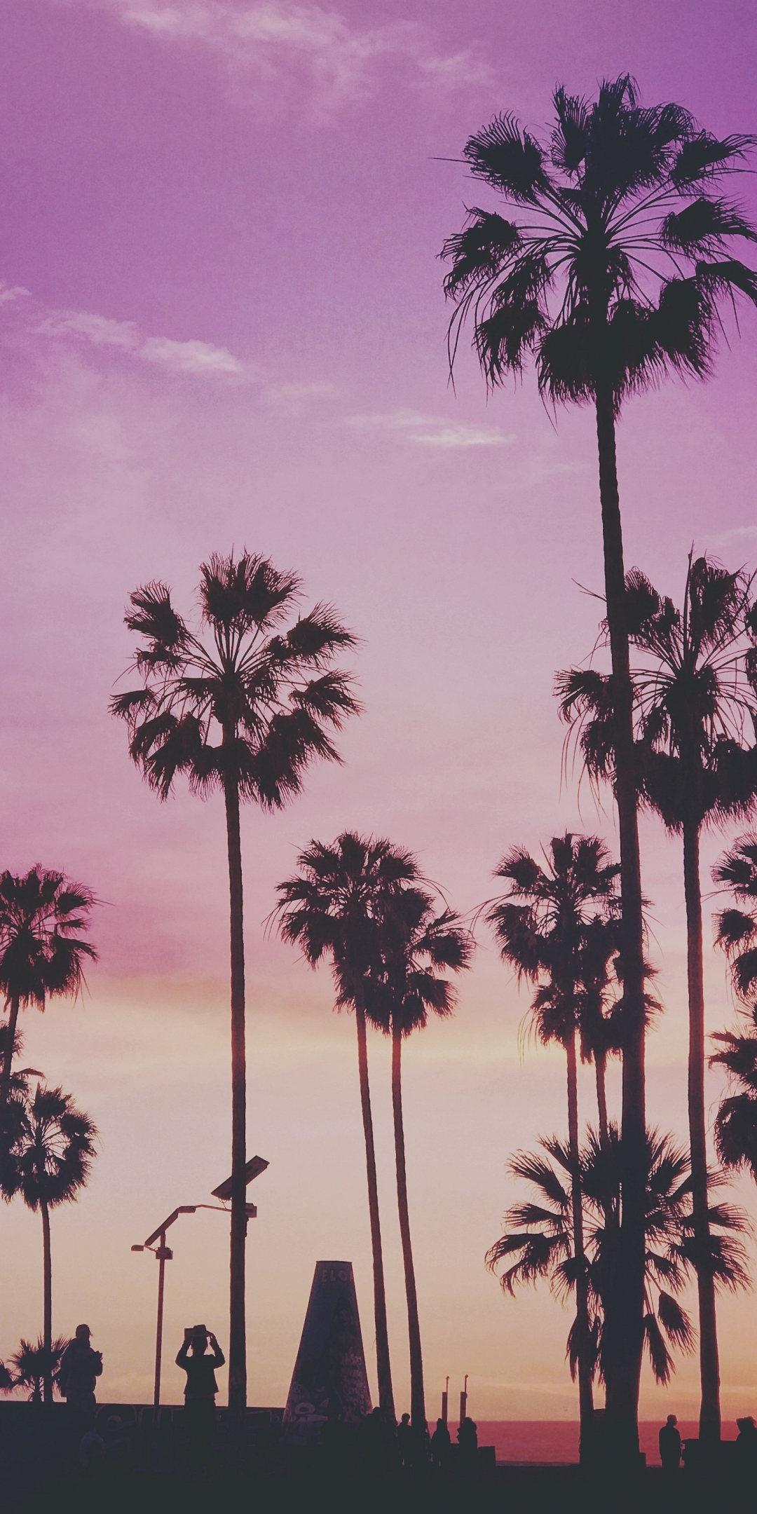 Tropical, palm trees, Miami sunset, 1080x2160 wallpaper