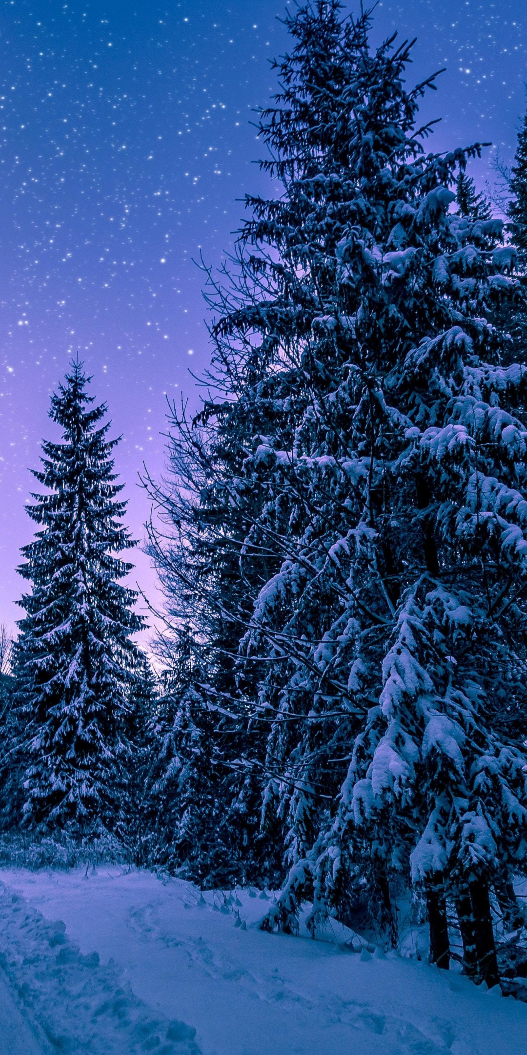 Winter, night, road though trees, 1080x2160 wallpaper