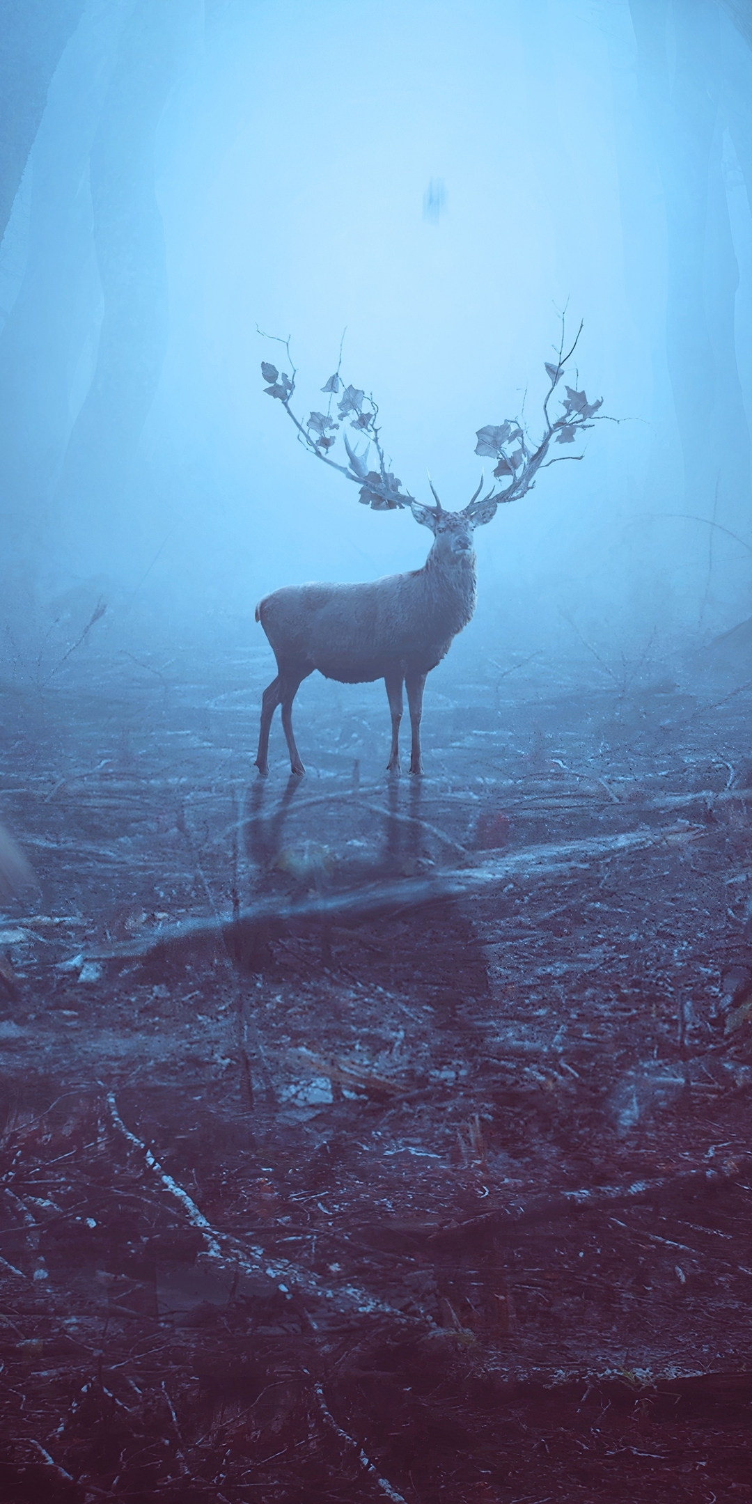 Into the woods, Reindeer, wildlife, art, 1080x2160 wallpaper