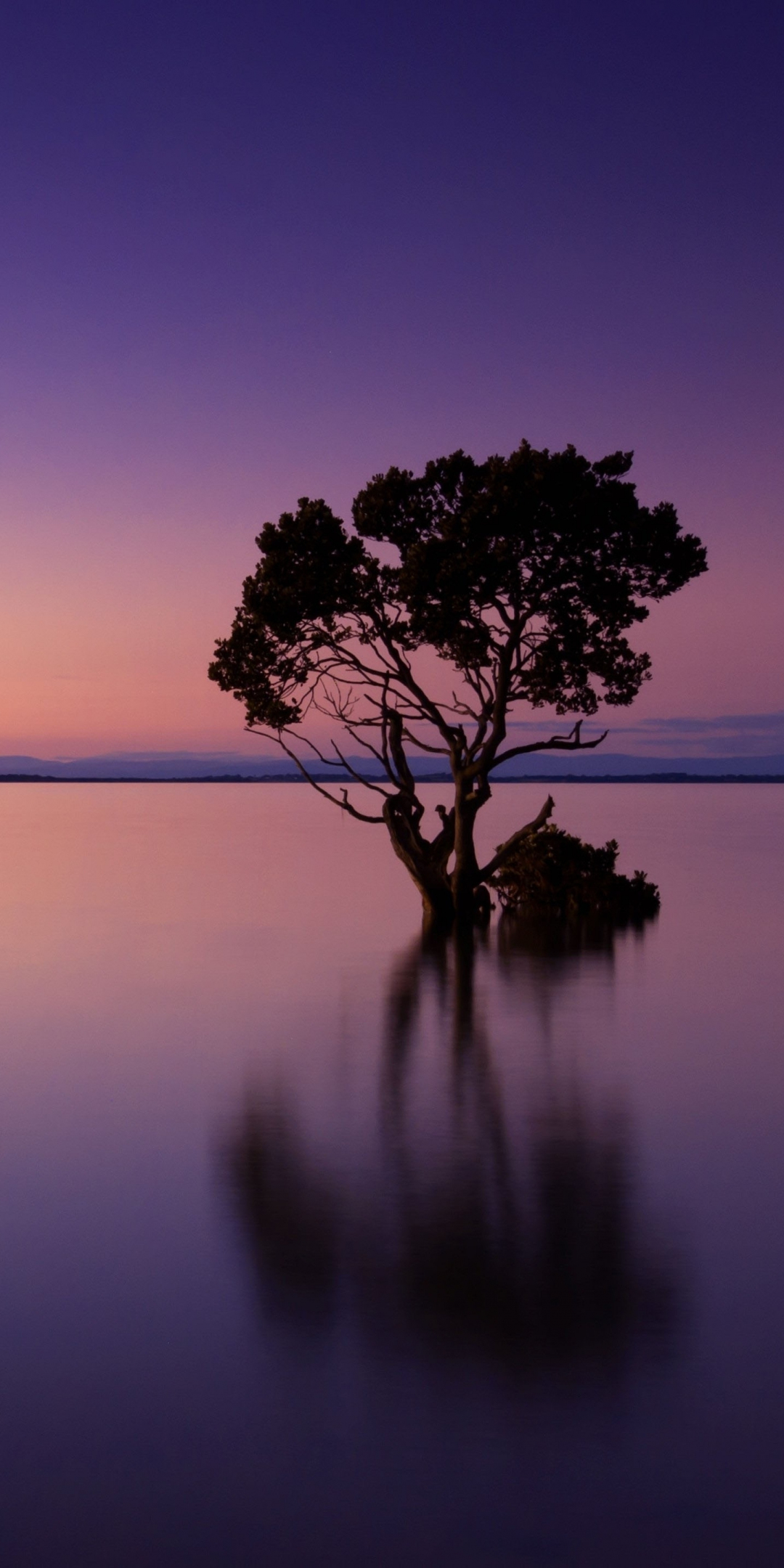 Violet sunset, tree, silhouette, lake, reflections, art, 1080x2160 wallpaper