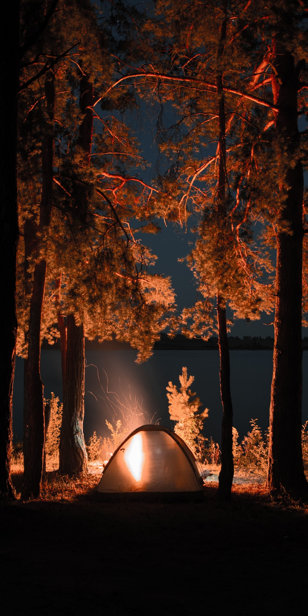 Outing, campfire, trees, tent, night, 1080x2160 wallpaper