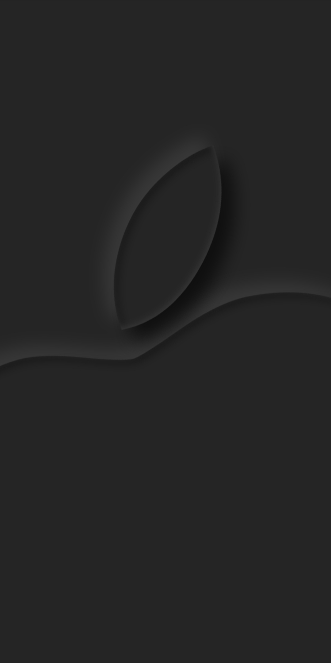 Apple logo, dark-grey surface, 1080x2160 wallpaper