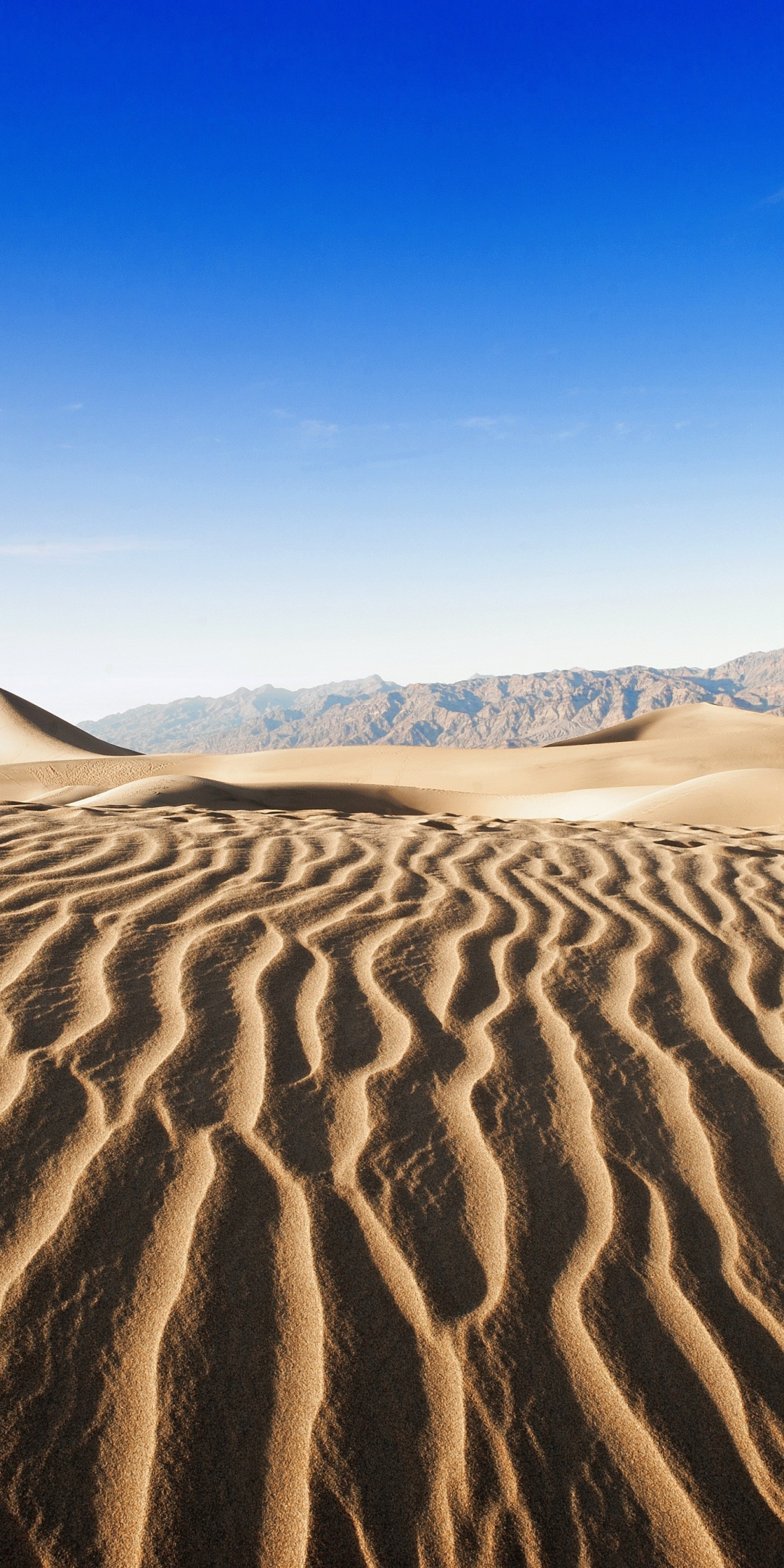 Blue sky, desert, dunes, sand, 1080x2160 wallpaper