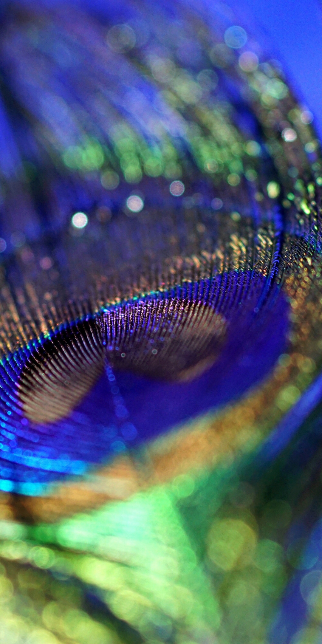 Peacock, plumage, feather, colorful, close up, bokeh, 1080x2160 wallpaper