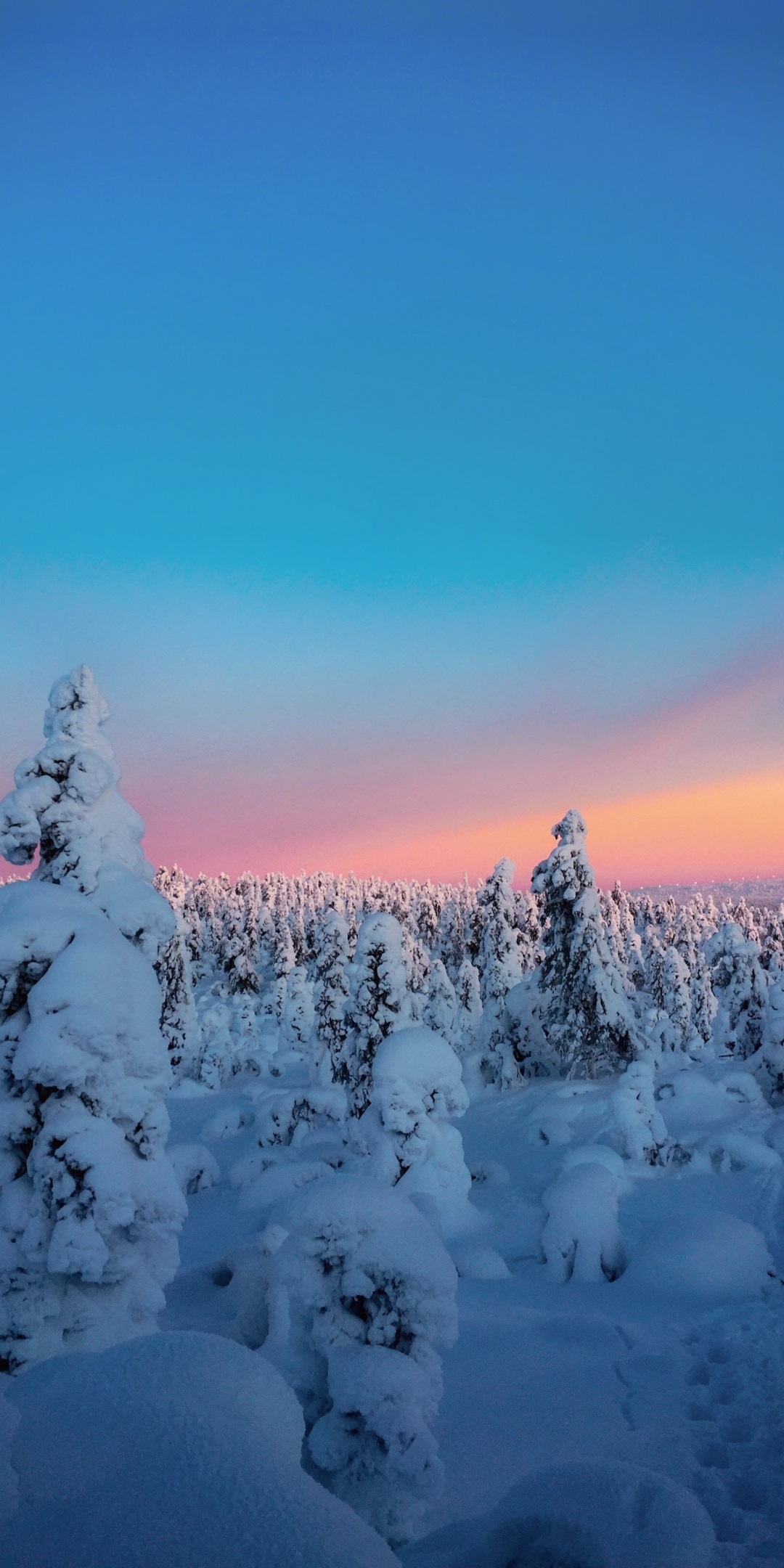 Winter, sunset, twilight, trees, nature, 1080x2160 wallpaper