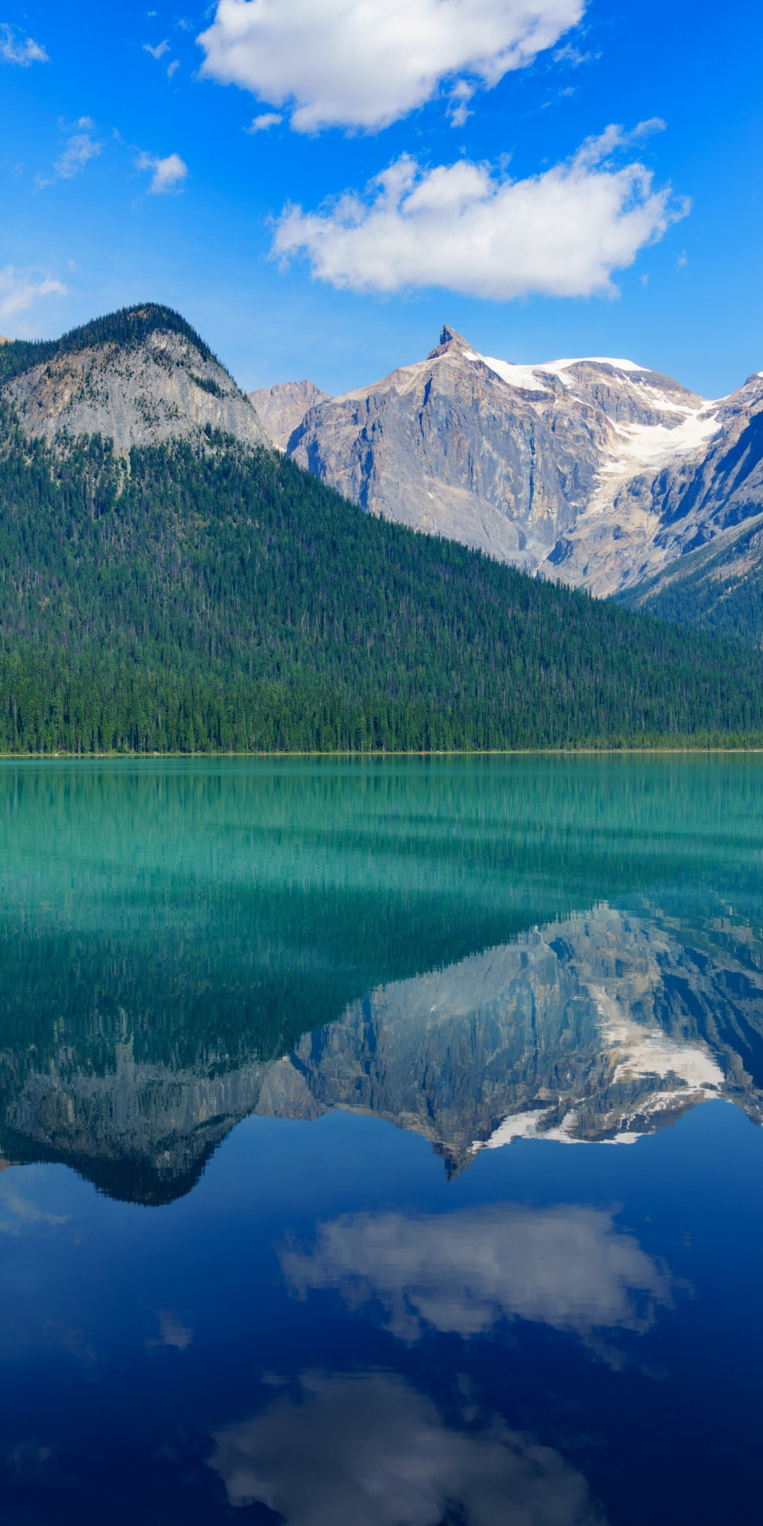 Lake, reflections, mountains, nature, tree, 1080x2160 wallpaper