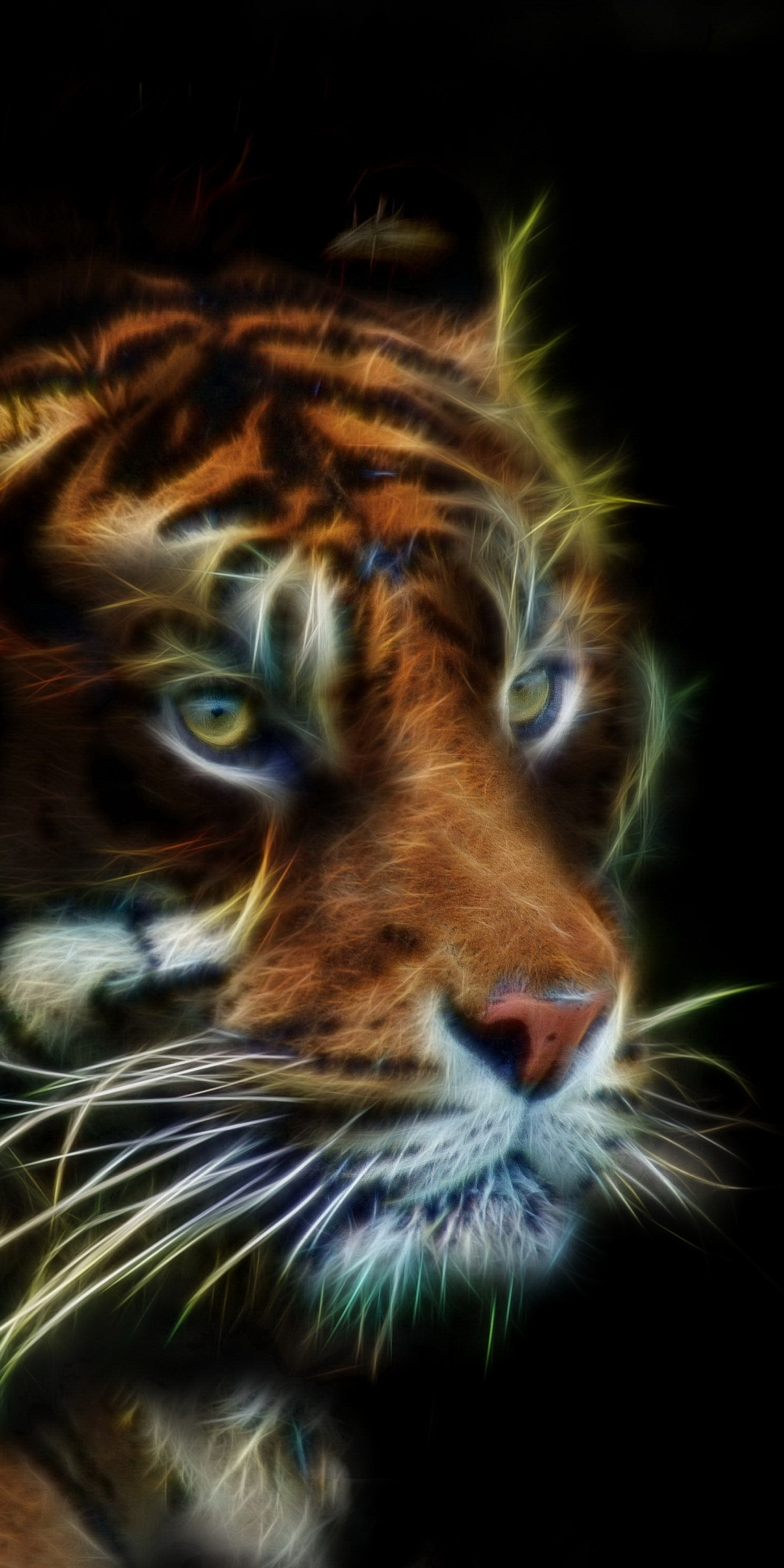 Tiger, muzzle, predator, art, 1080x2160 wallpaper