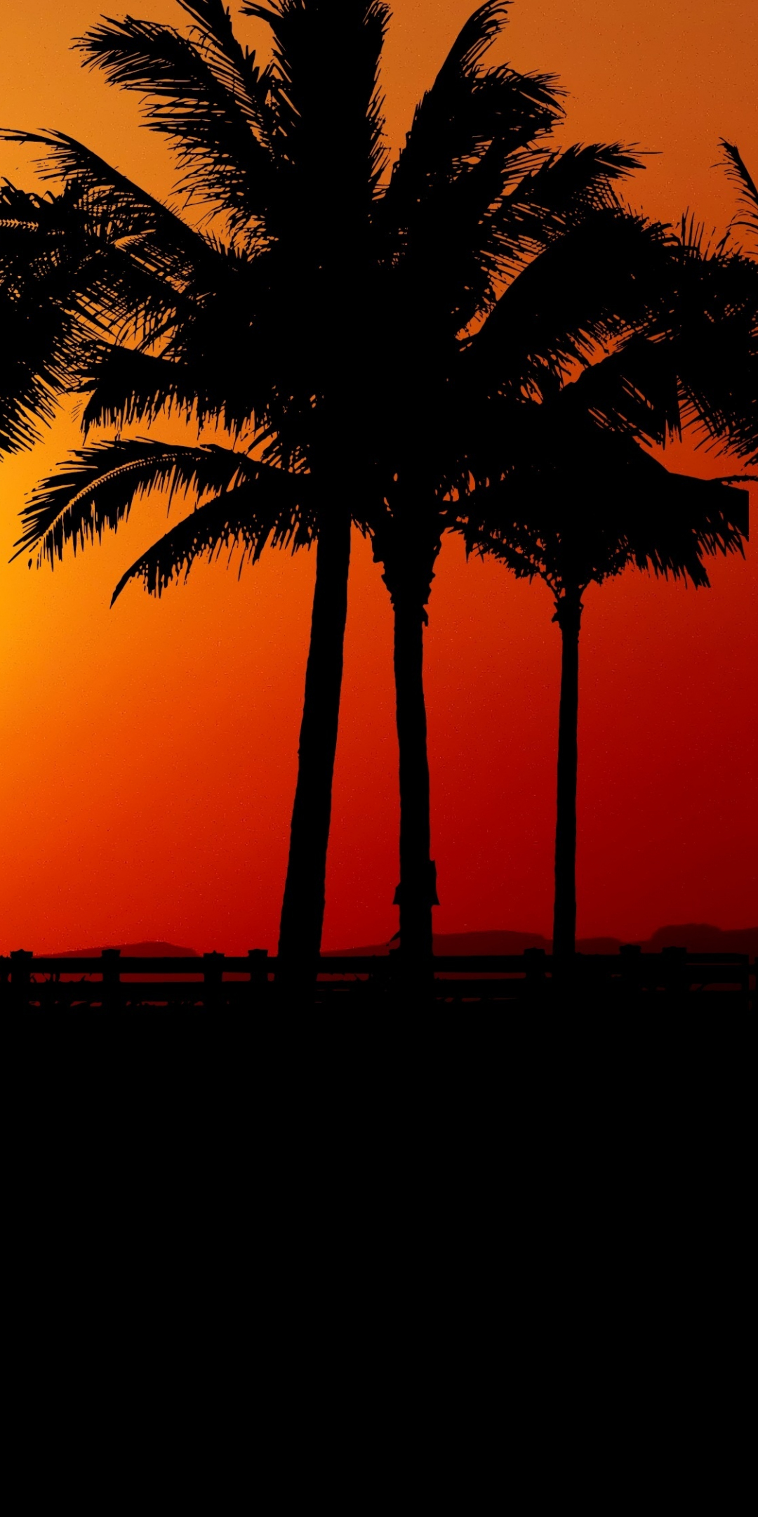 Sunset, palm tree, silhouette, 1080x2160 wallpaper