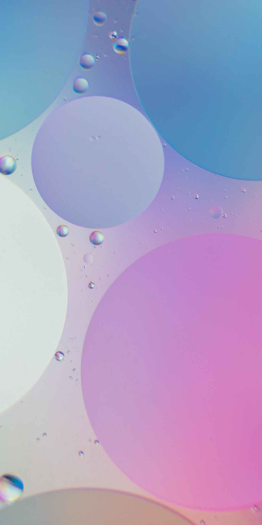 Circles, colorful bubbles, macro, 1080x2160 wallpaper