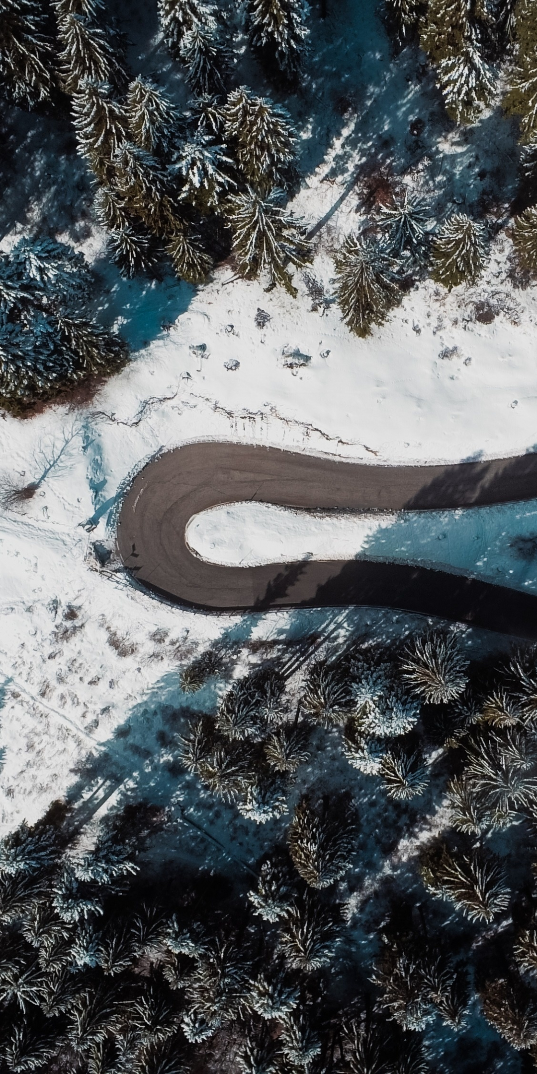 Aerial view, road's turn, tree, forest, winter, nature, 1080x2160 wallpaper