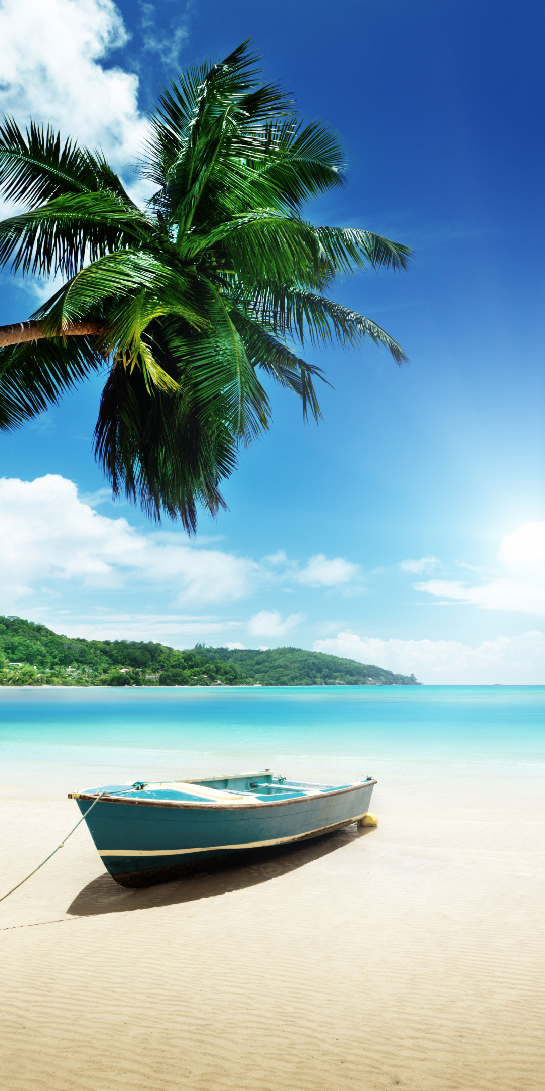 Boat, clear sky, clouds, sea, palm tree, beach, 1080x2160 wallpaper