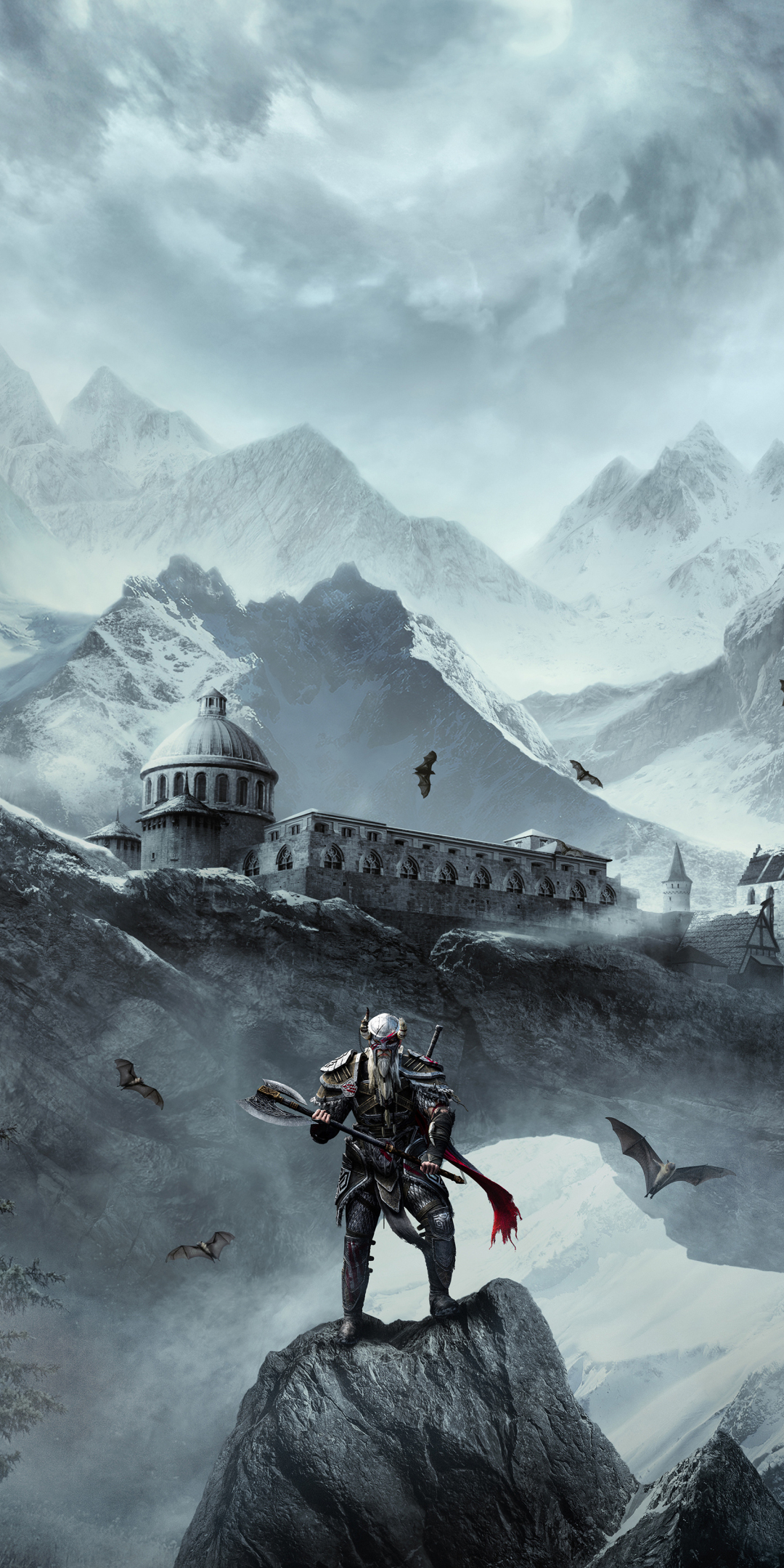 The Elder Scrolls Online, warrior, online game, 1080x2160 wallpaper