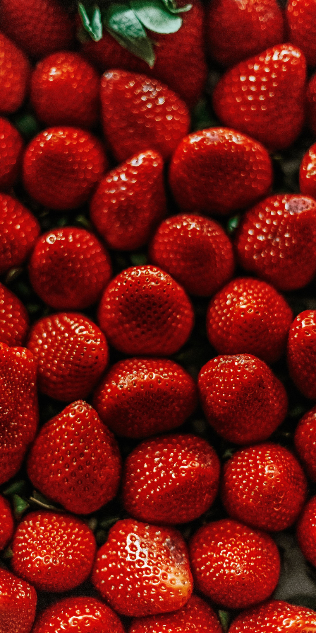 Red and delicious, strawberries, 1080x2160 wallpaper
