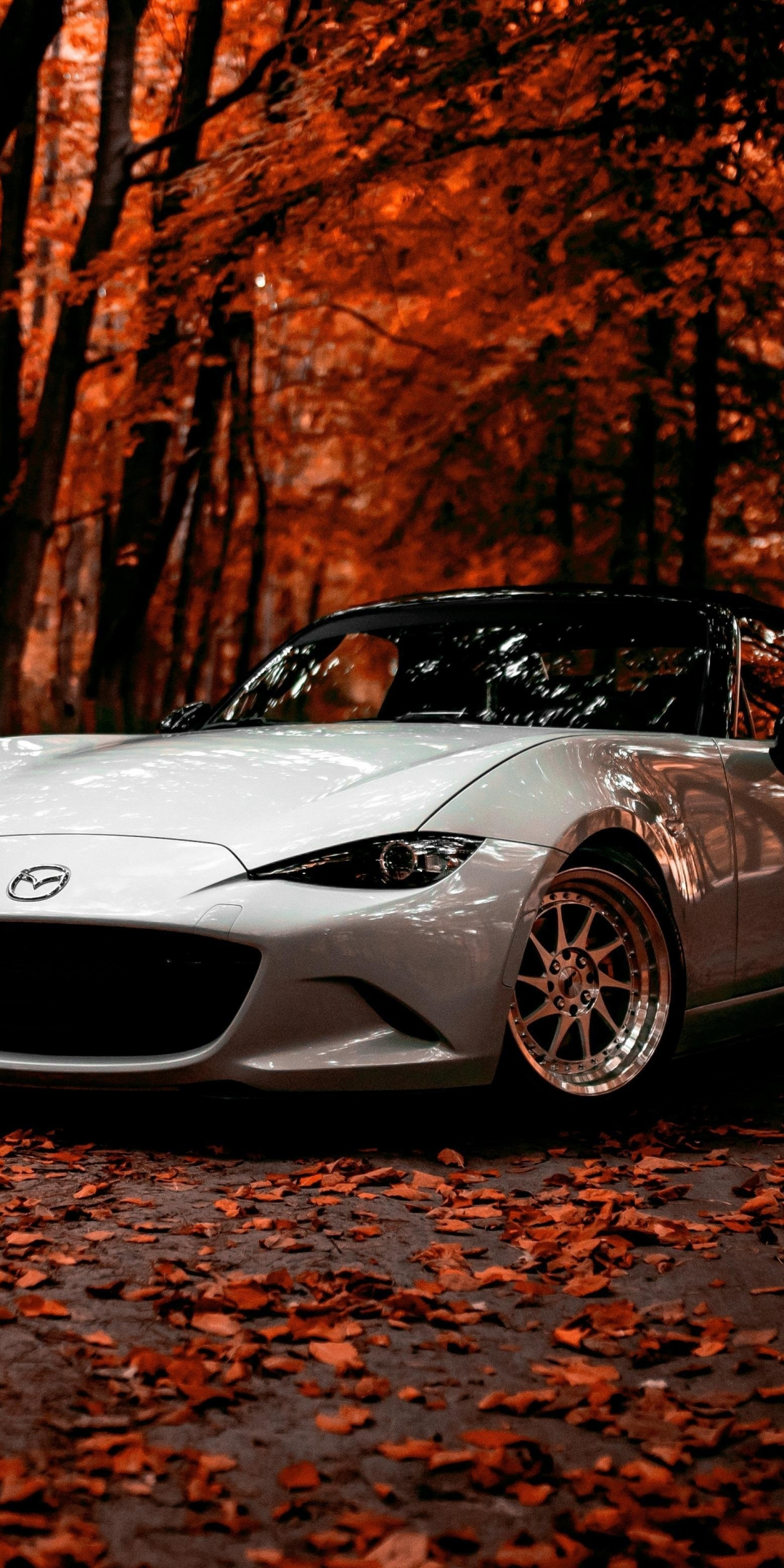 Mazda, off-road, autumn, sports car, 1080x2160 wallpaper