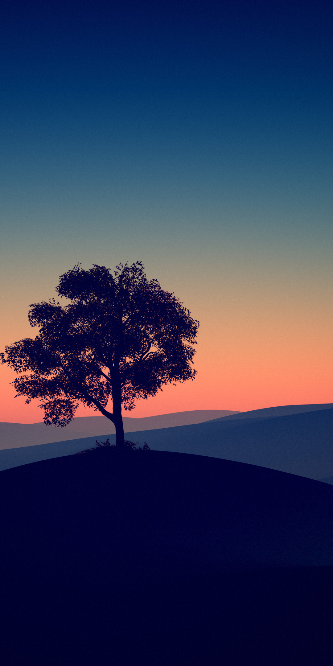 Tree, dark evening, silhouette, 1080x2160 wallpaper