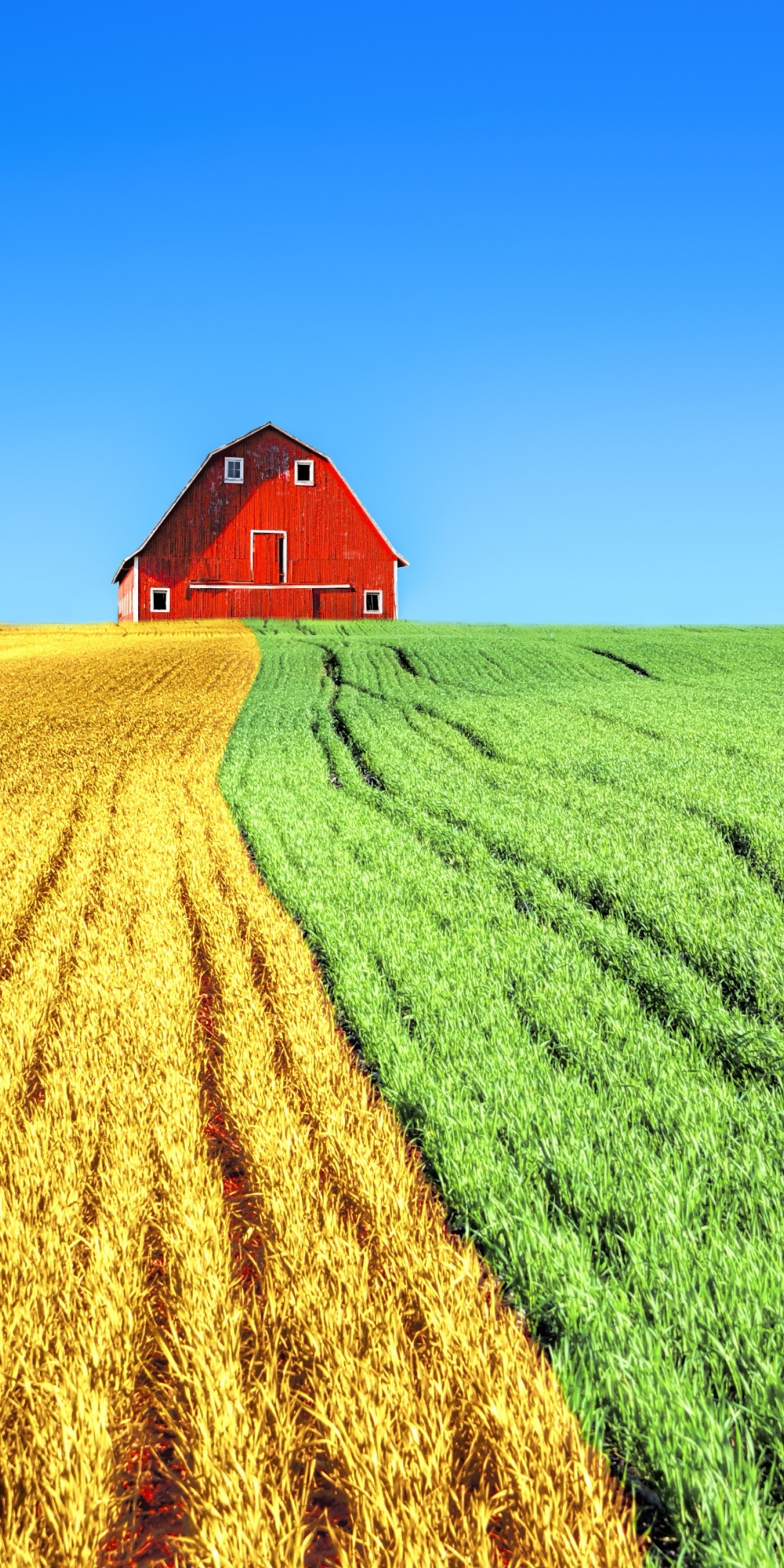 Farms, house, sky, landscape, 1080x2160 wallpaper