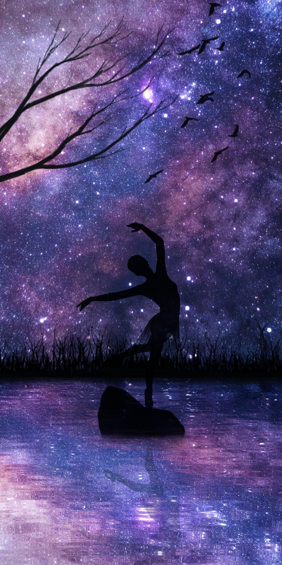 Starry night, girl dance, silhouette, art, 1080x2160 wallpaper
