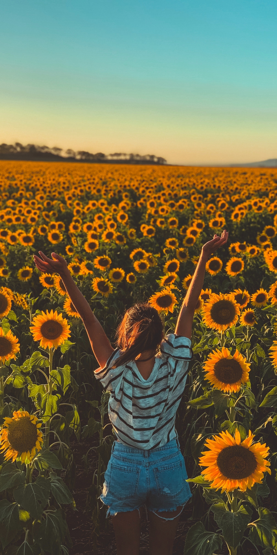 Sunny day, sunflowers, farm, woman, 1080x2160 wallpaper
