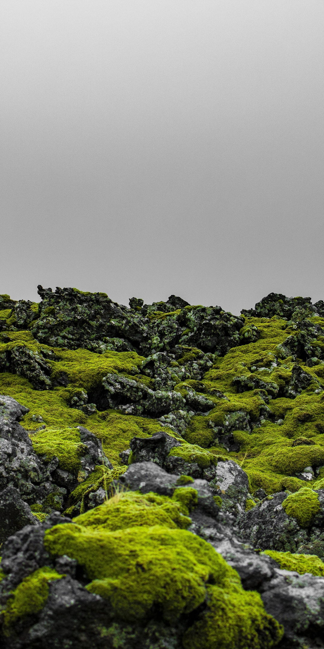 Green moss, landscape, Iceland, nature, 1080x2160 wallpaper