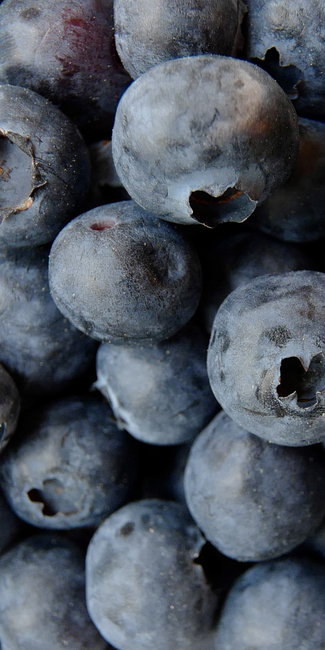 Blueberry, fresh, close up, 1080x2160 wallpaper