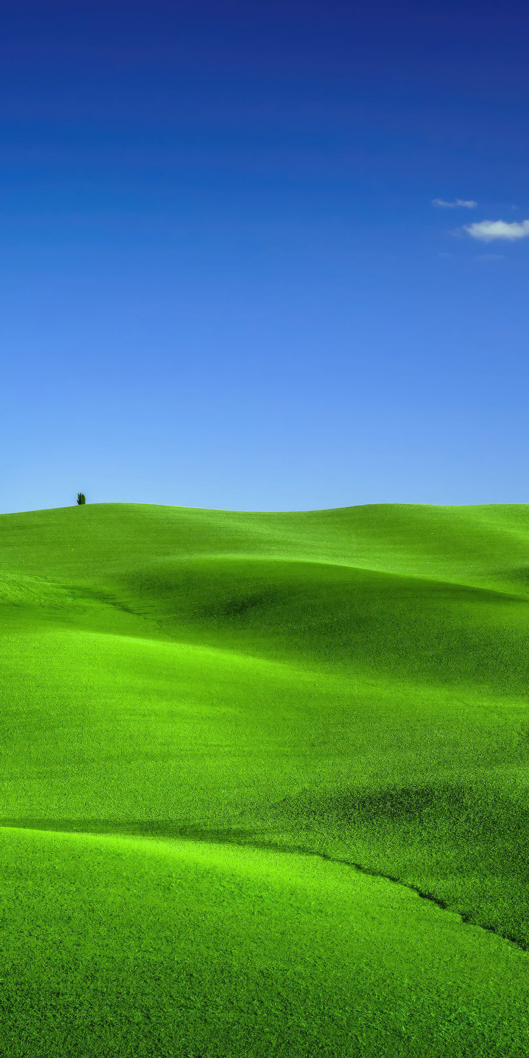 Green meadows, landscape, nature, Tuscany, 1080x2160 wallpaper