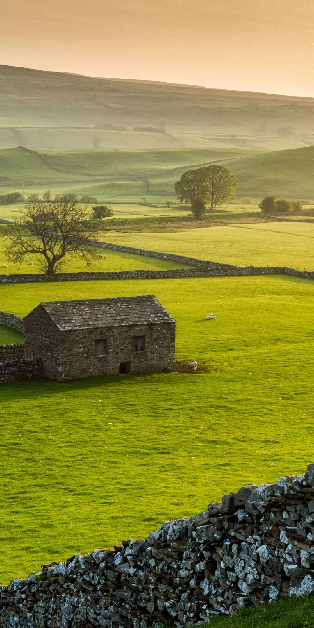 Farms, landscape, Yorkshire Dales national park, nature, 1080x2160 wallpaper